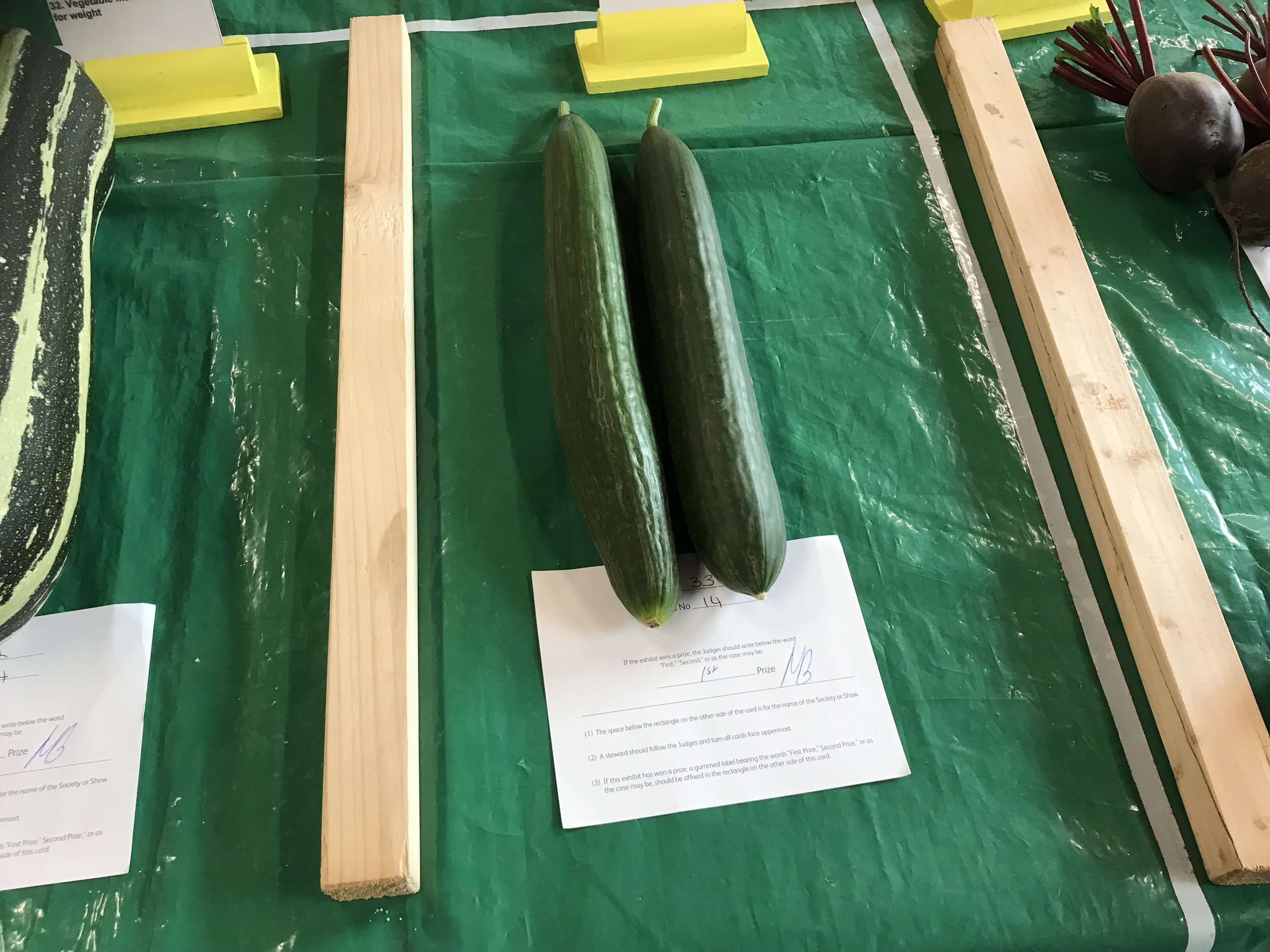 33. 2 cucumbers