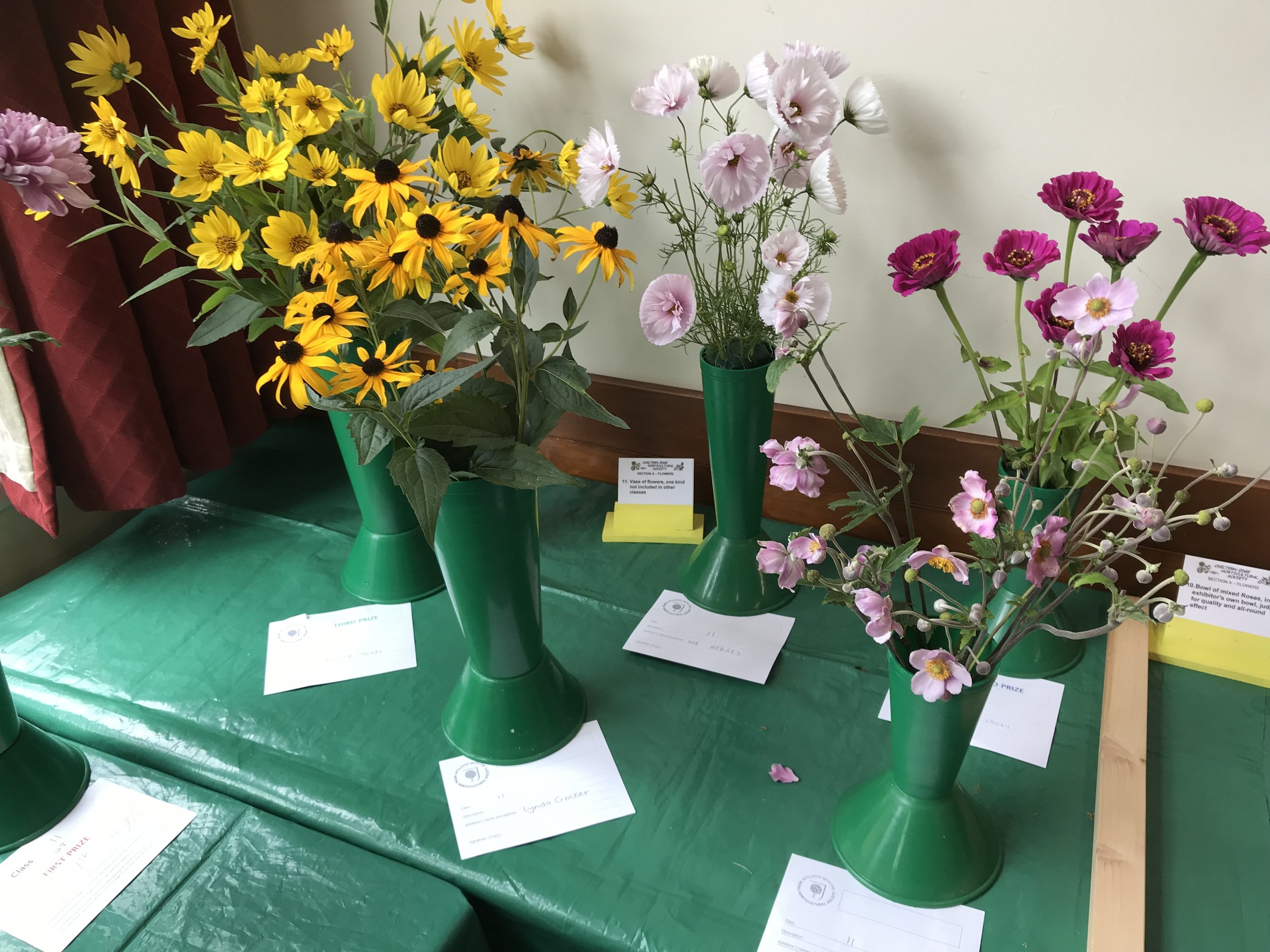 11.Vase of flowers, one kind not included in other classes
