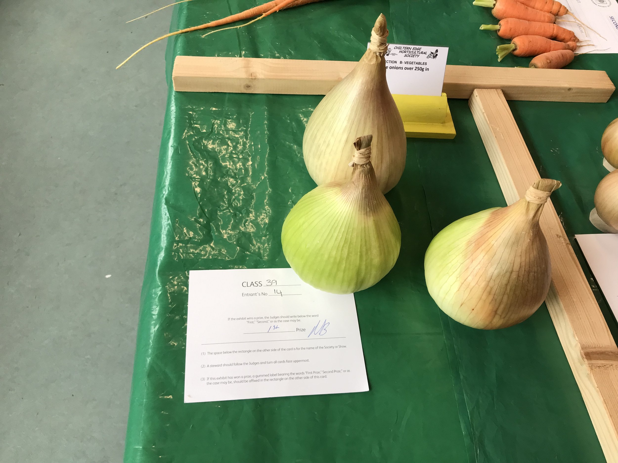39 3 large onions over 250 grams in weight.