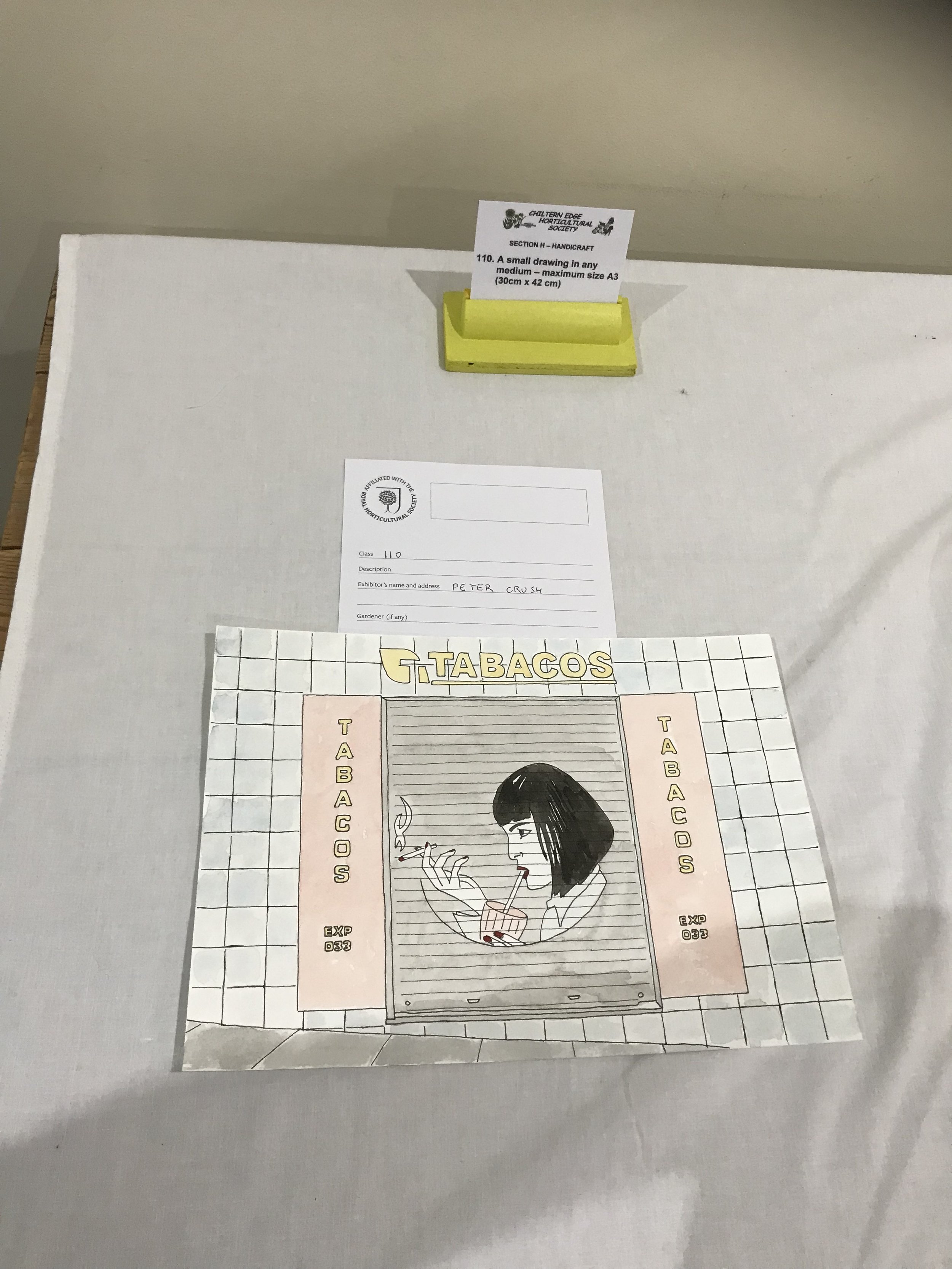 110 Small drawing any medium