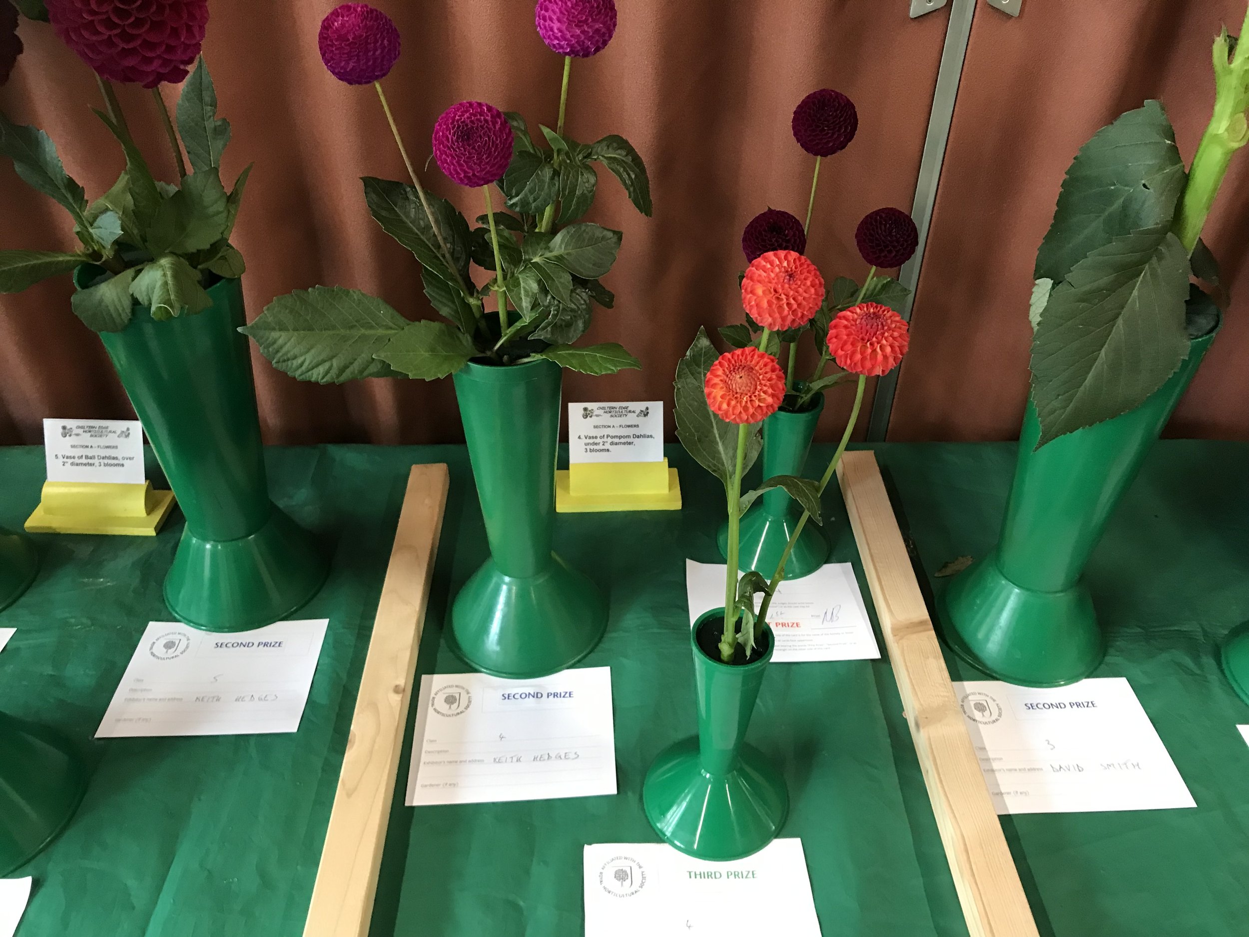 4.Vase of pompom dahlias, under 2” diameter, 3 blooms.