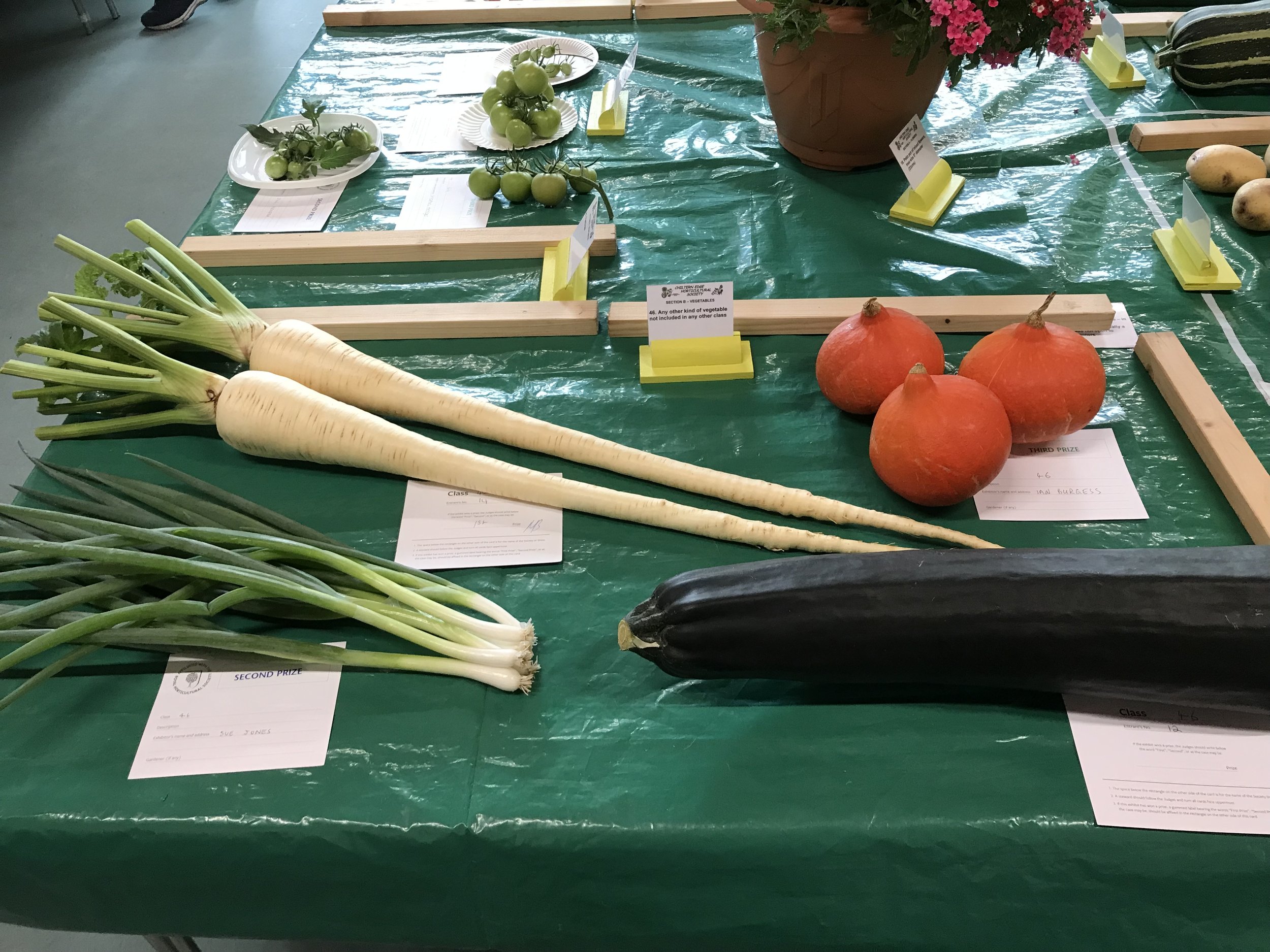 46. Any other kind of vegetable not included in any other class (2)