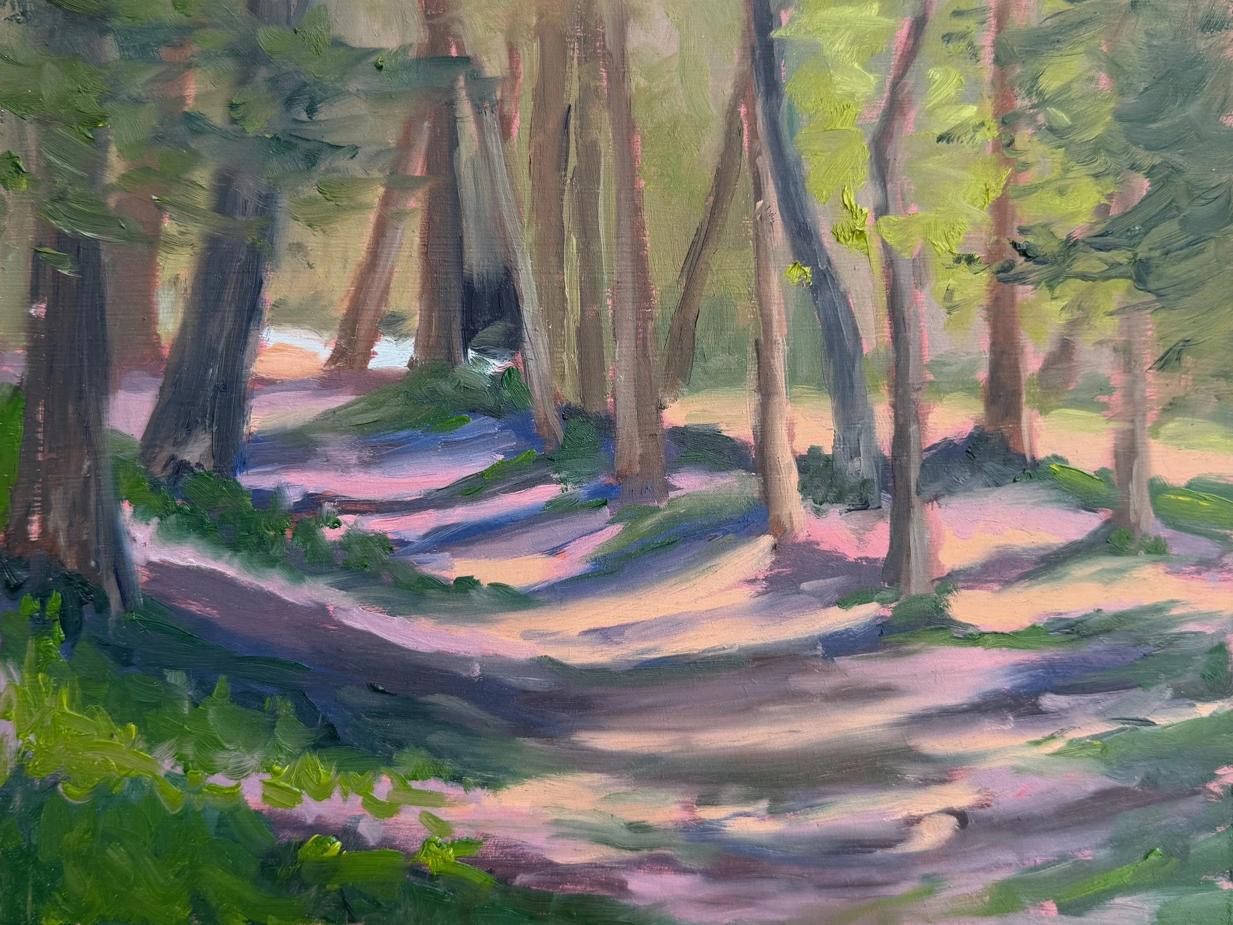 ForestLightNotreDamedelaGorge.jpeg
