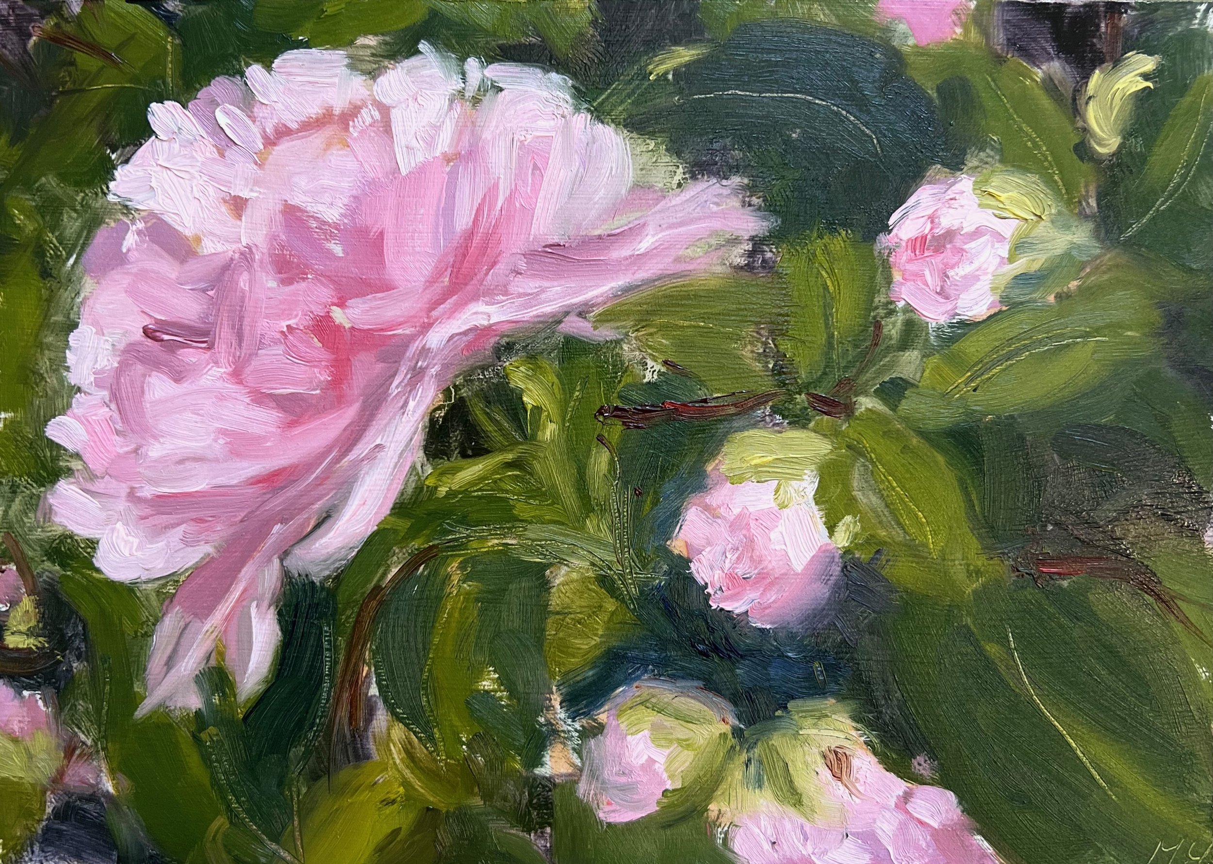PalePinkCamellias.jpeg