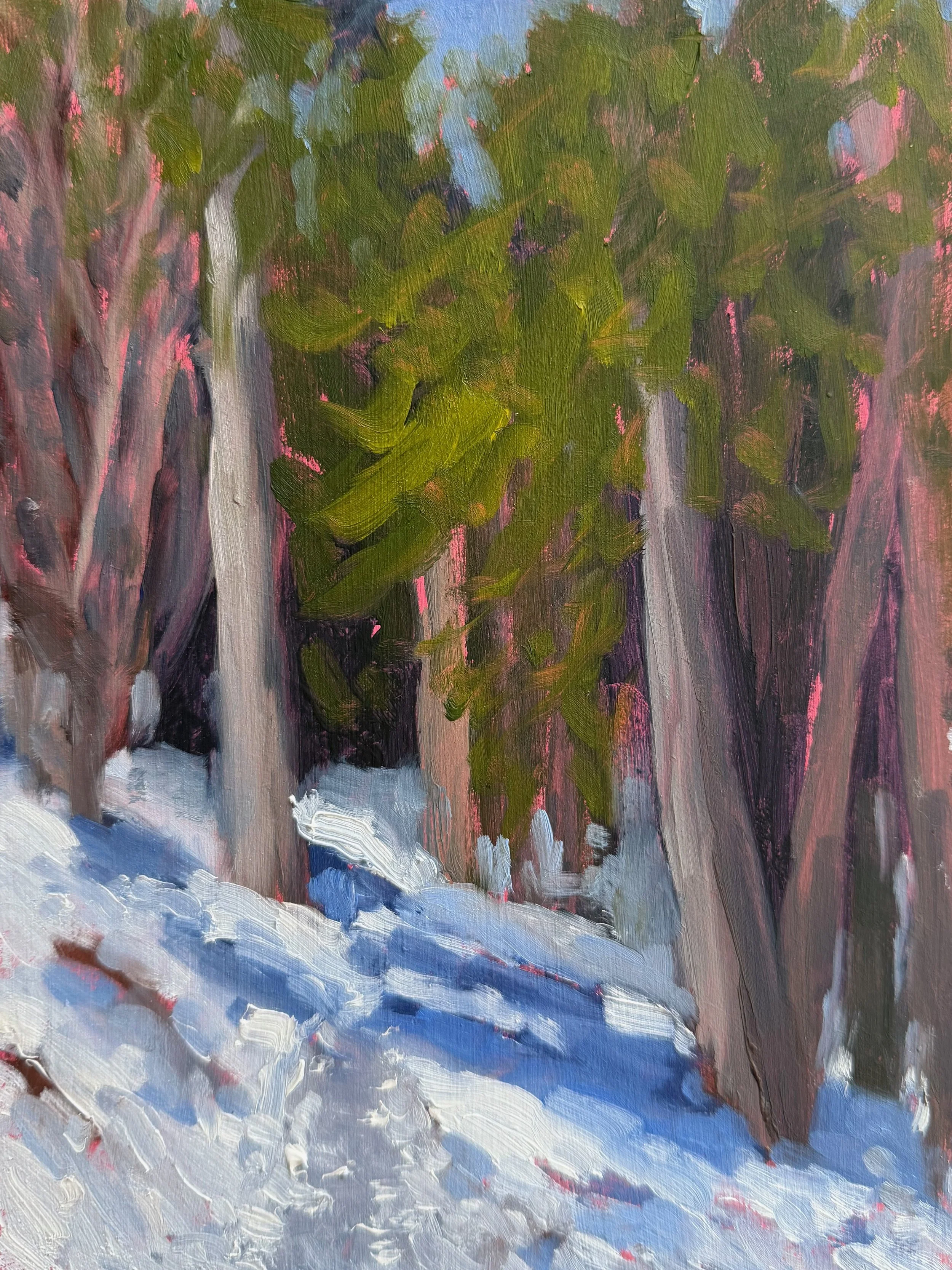 The Quiet Between Snow & Trees