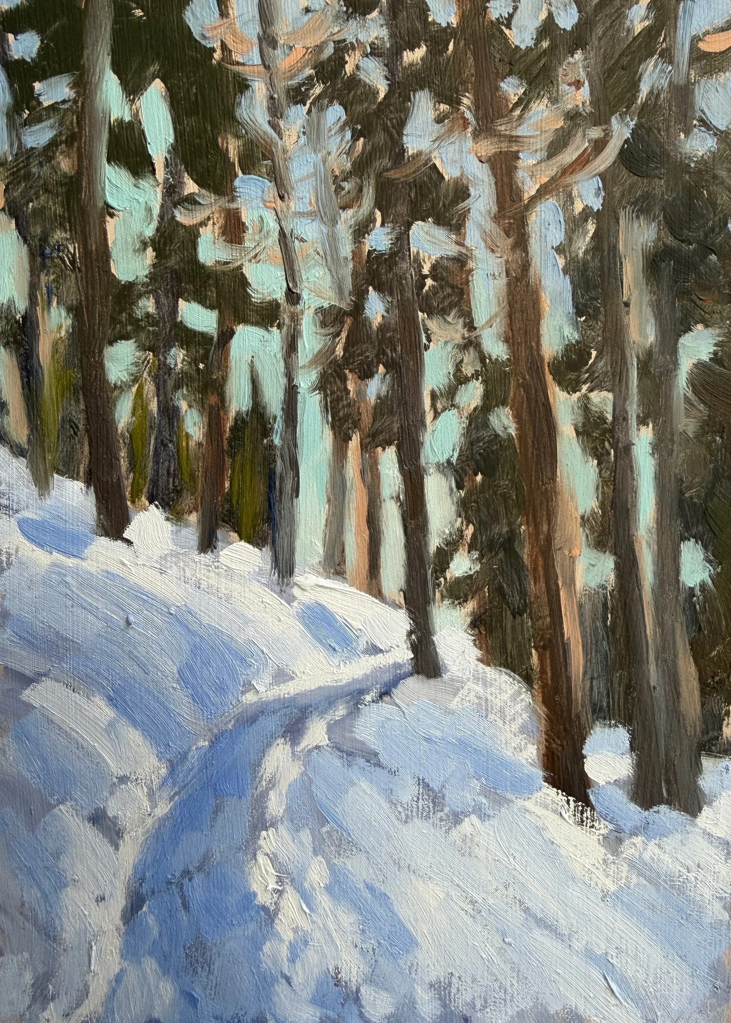 Snowy Path Amongst The Pines
