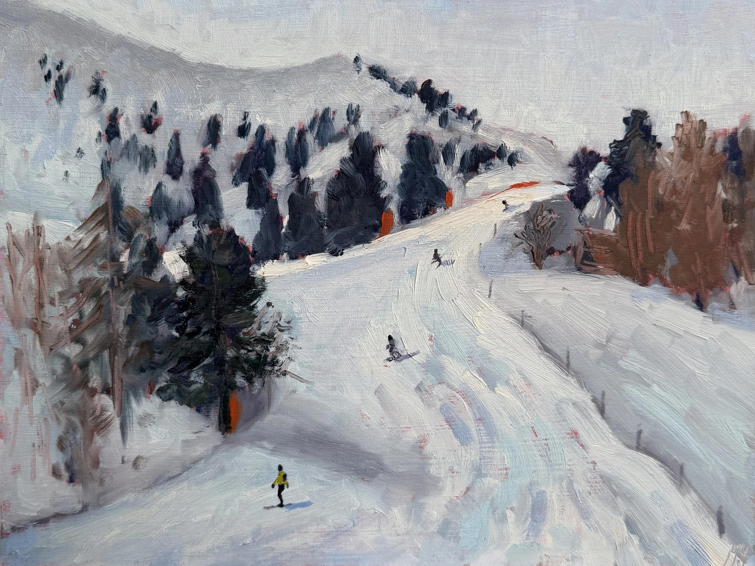 Skiers at Thyon 2000