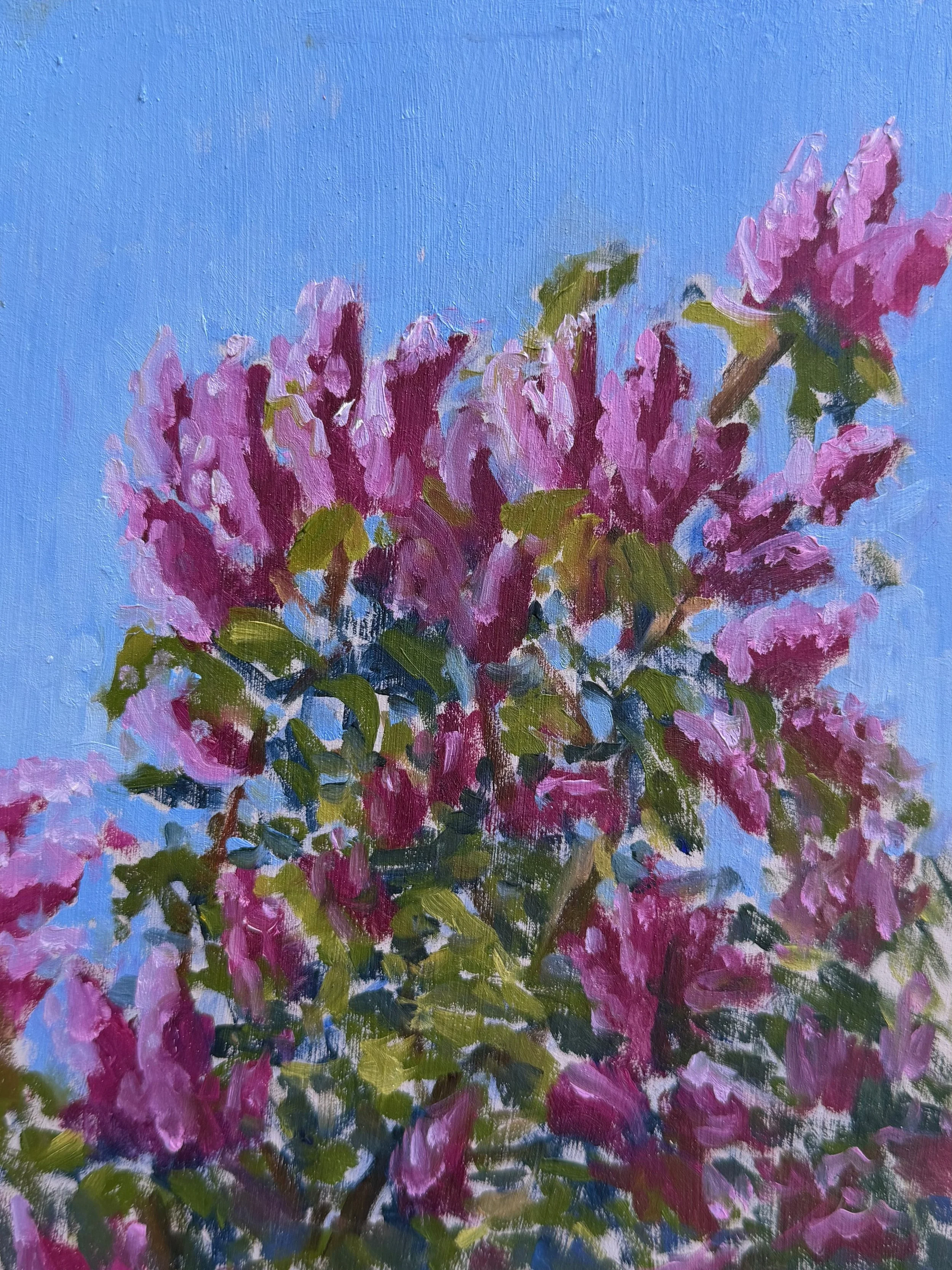 Purple Lilacs