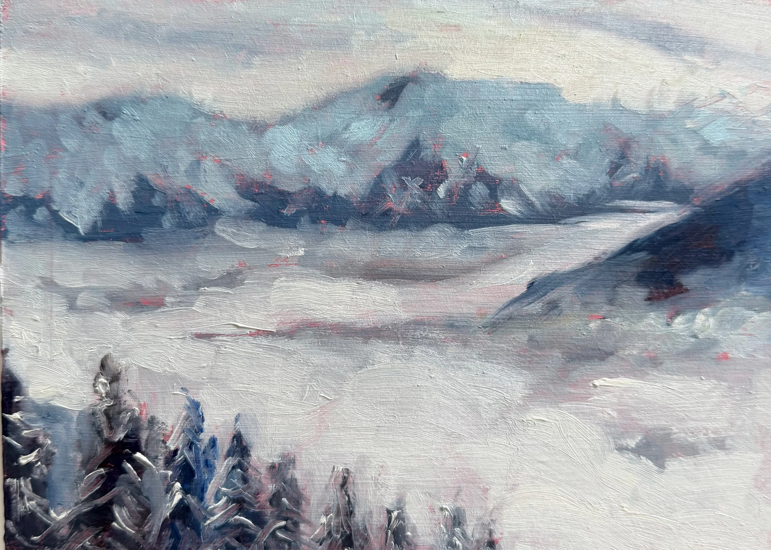 A Blanket of Snow and Cloud