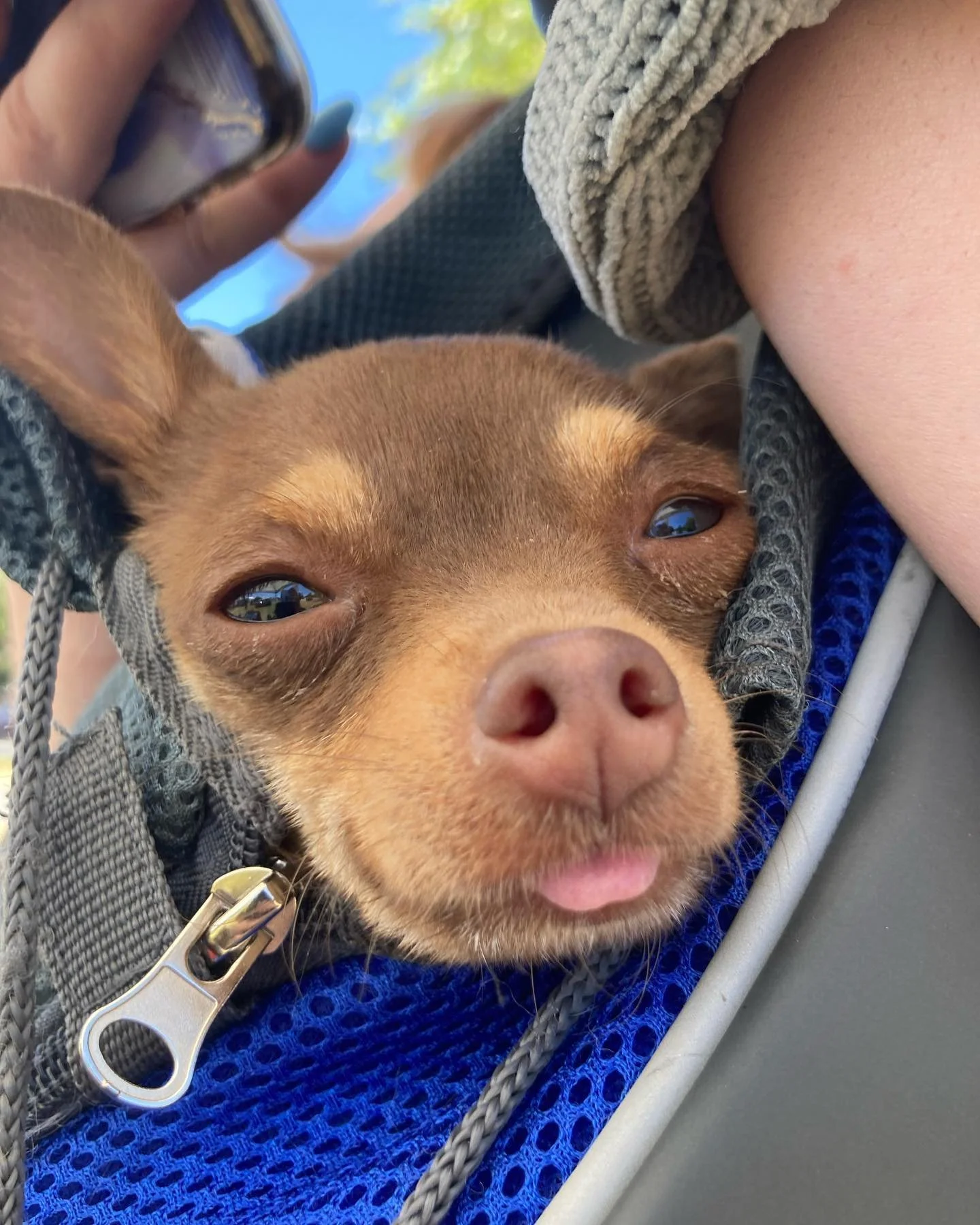 FYW44HWXgAUlZl_.jfif