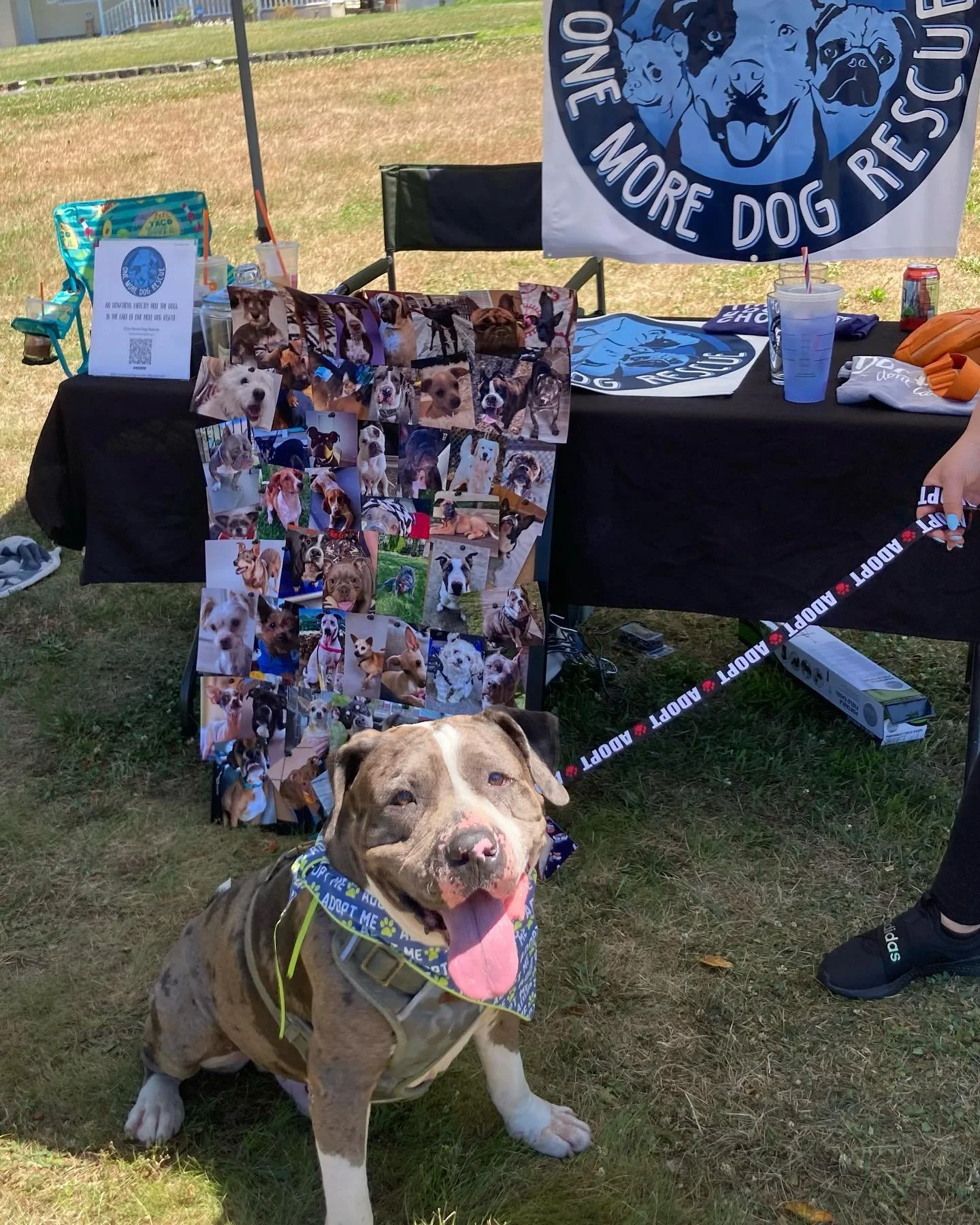 FYW467wXgAA6GZa.jfif