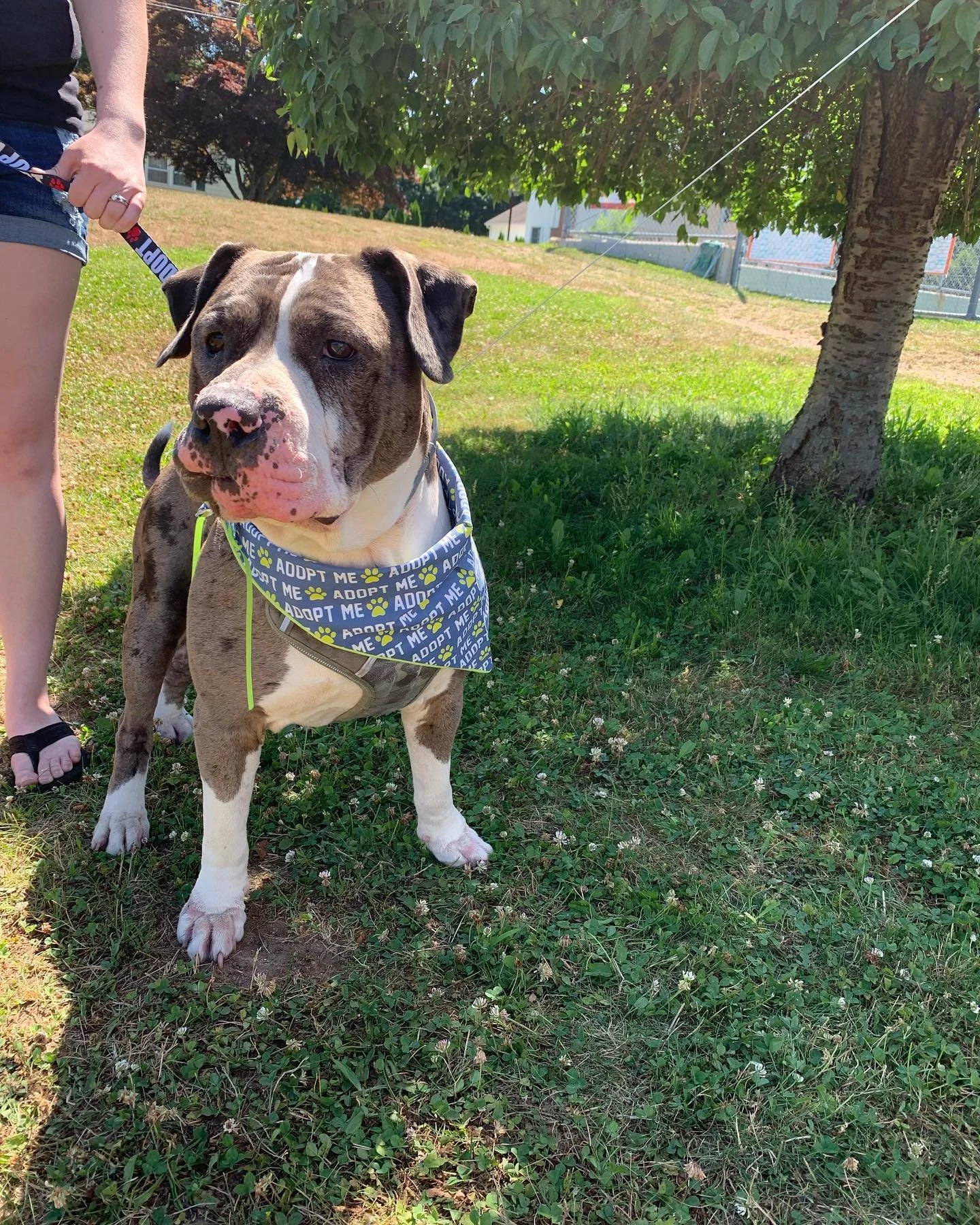 FYW469qX0AMP8Il.jfif