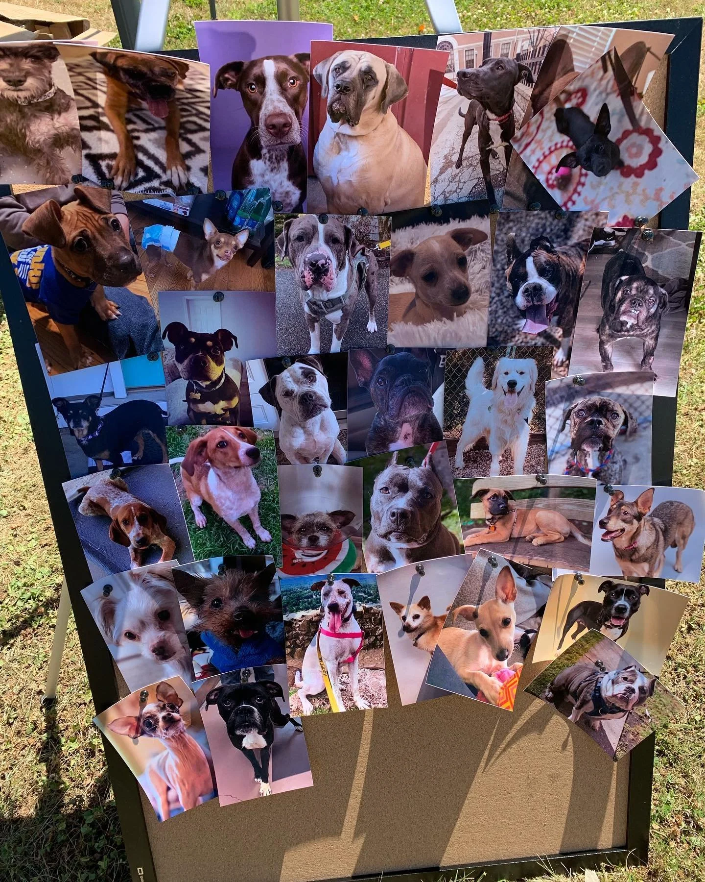 FYW44HXWYAAjh0e.jfif