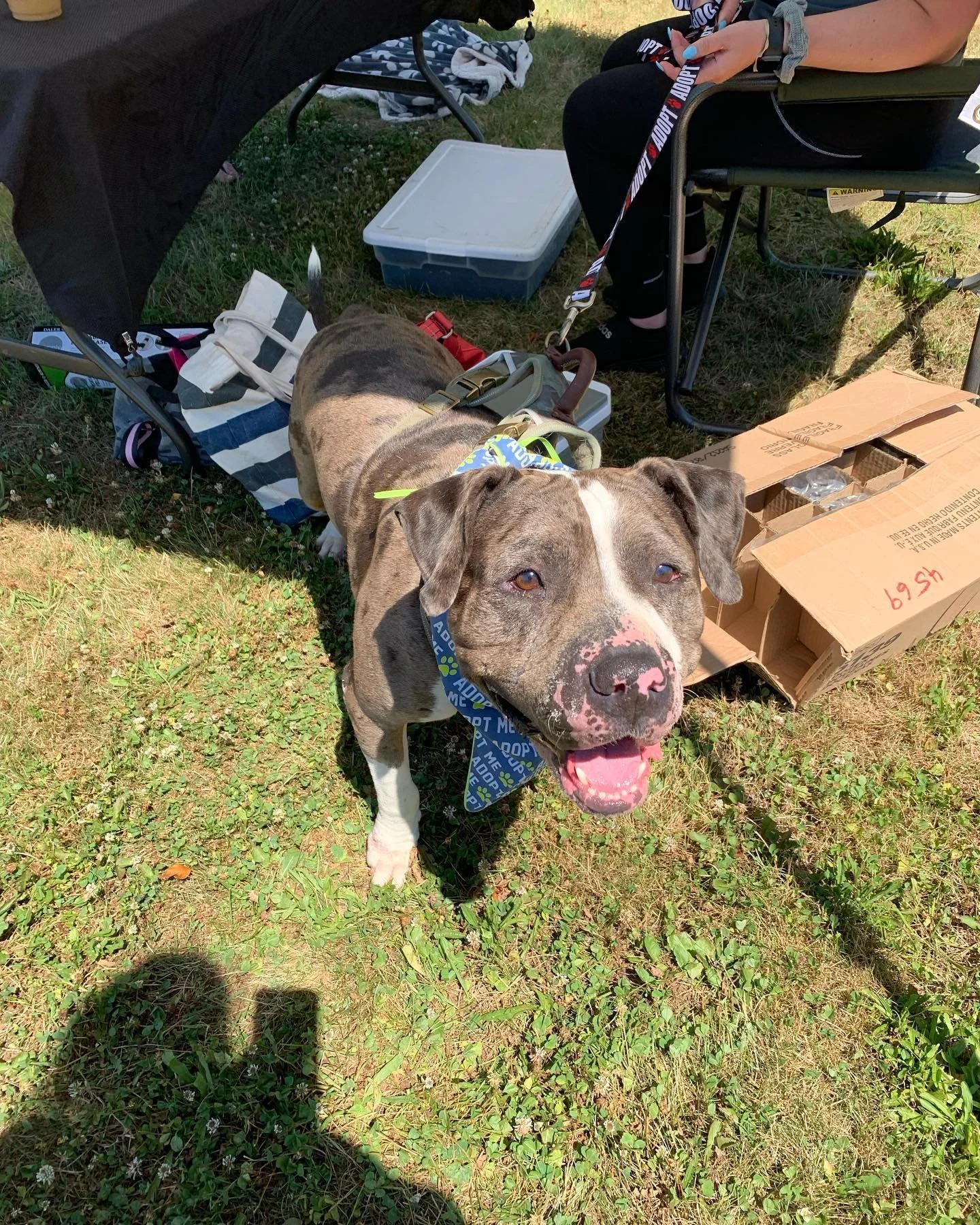 FYW44HWWYAAznZz.jfif