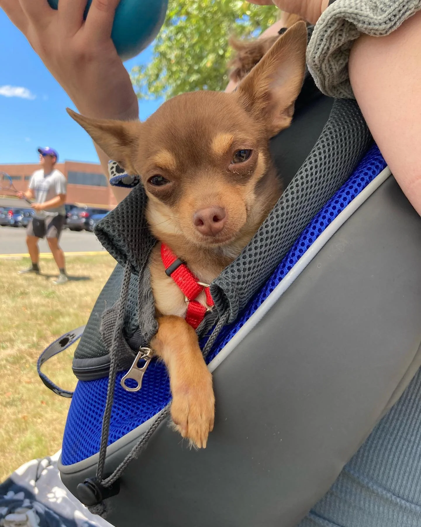 FYW44HXXgAABBjN.jfif