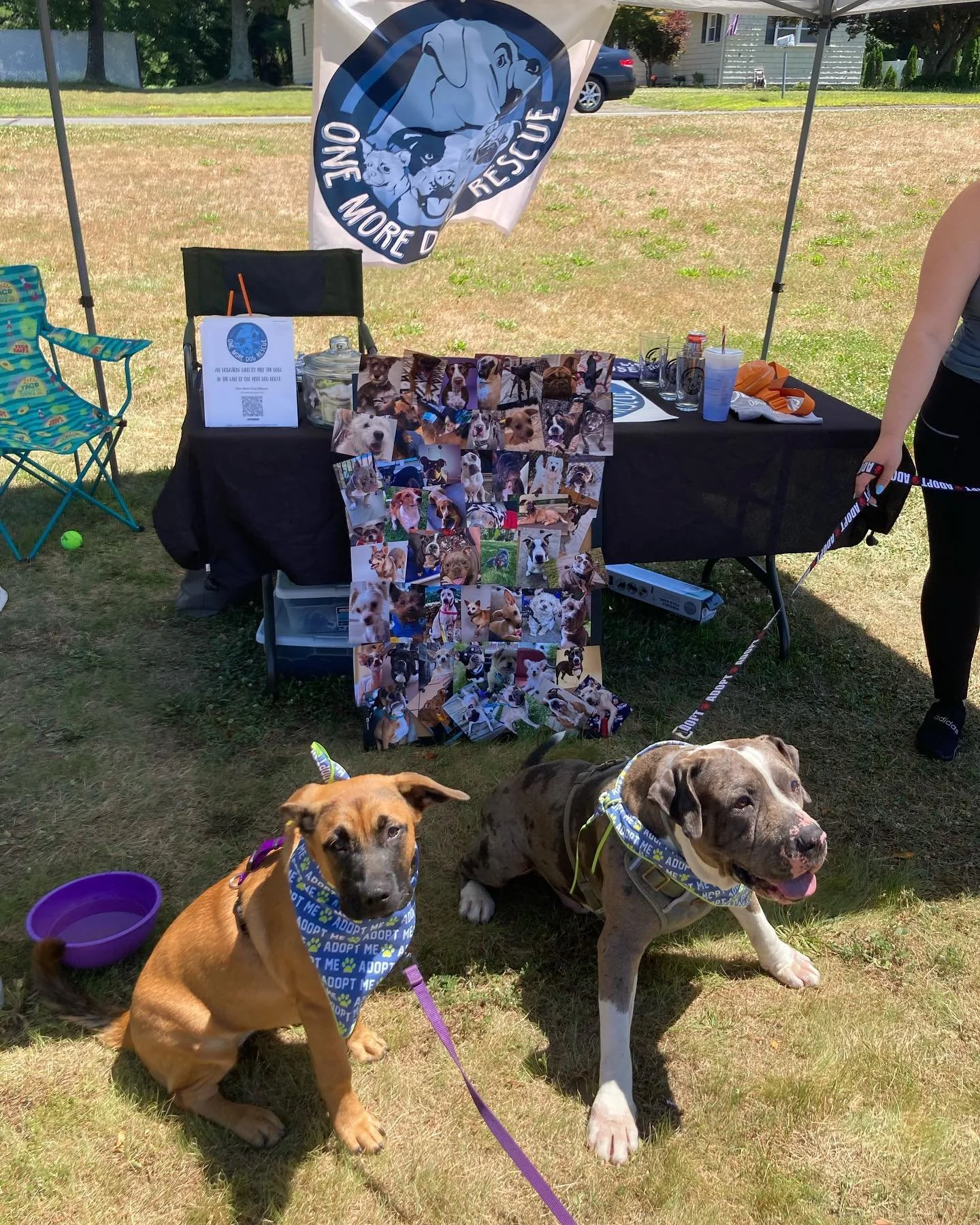 FYW466tXkAArnQr.jfif