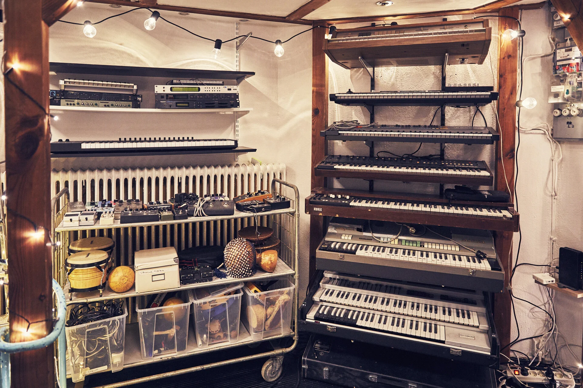 DL_P8A0923_DUBIOUS.jpg