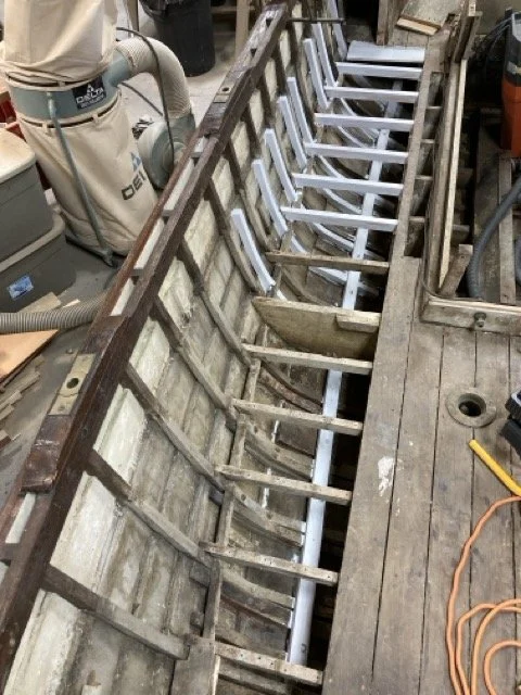 IMG_2501 Medium.jpeg