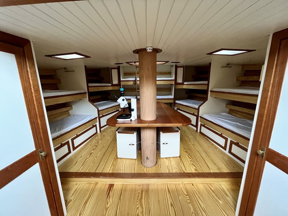 Build out of new schooner interior