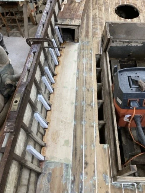 IMG_2533 Medium.jpeg