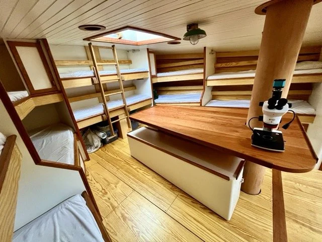 Build out of new schooner interior