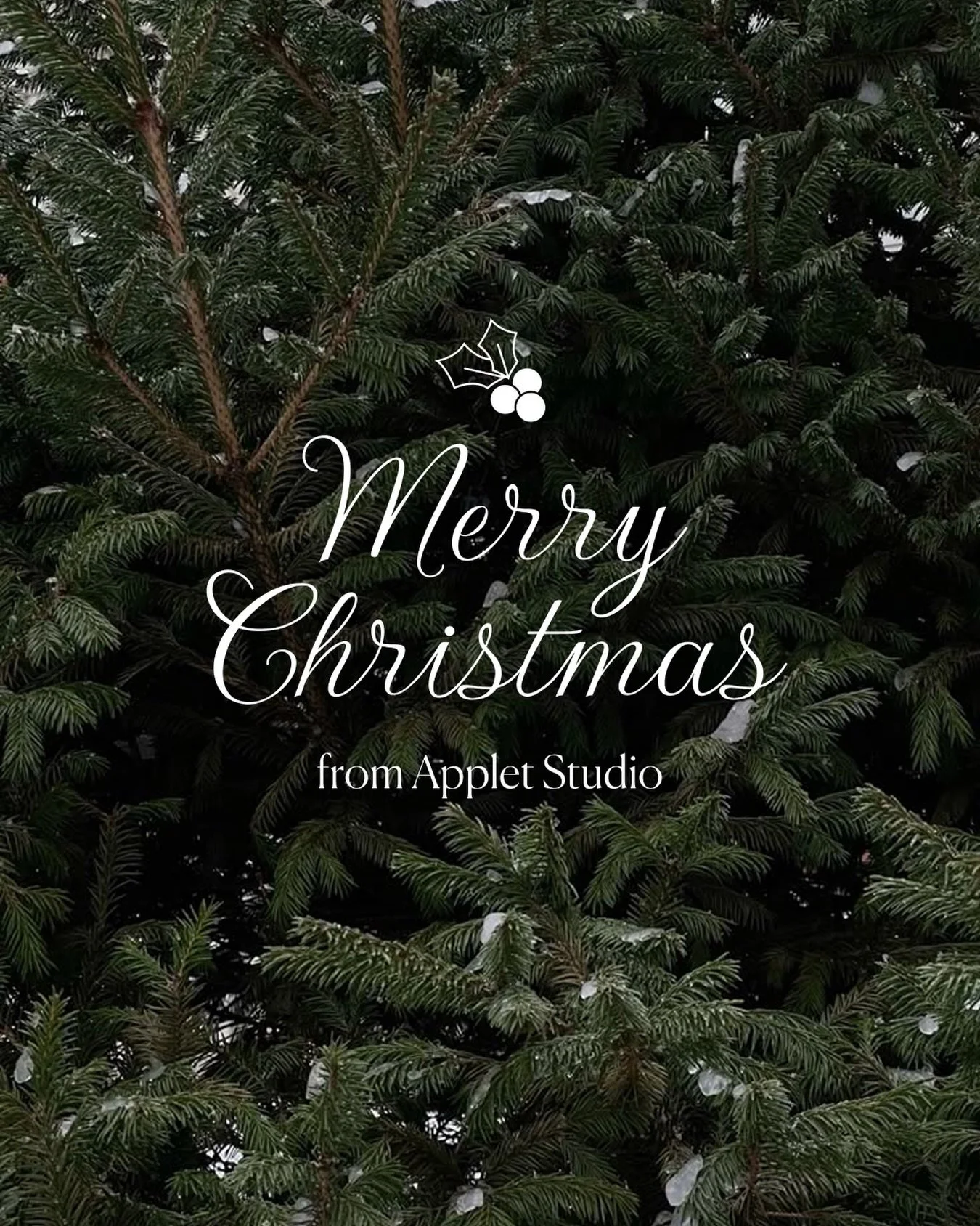 Happy Holidays 🤍 Grateful for another year of creating for you