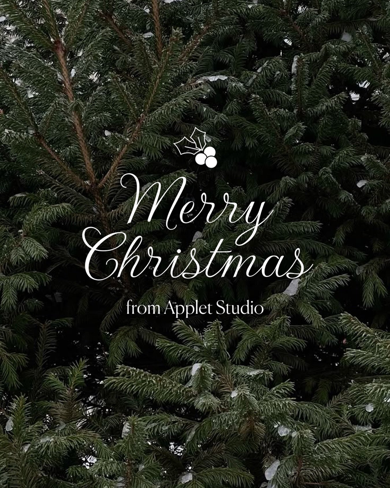 Happy Holidays 🤍 Grateful for another year of creating for you