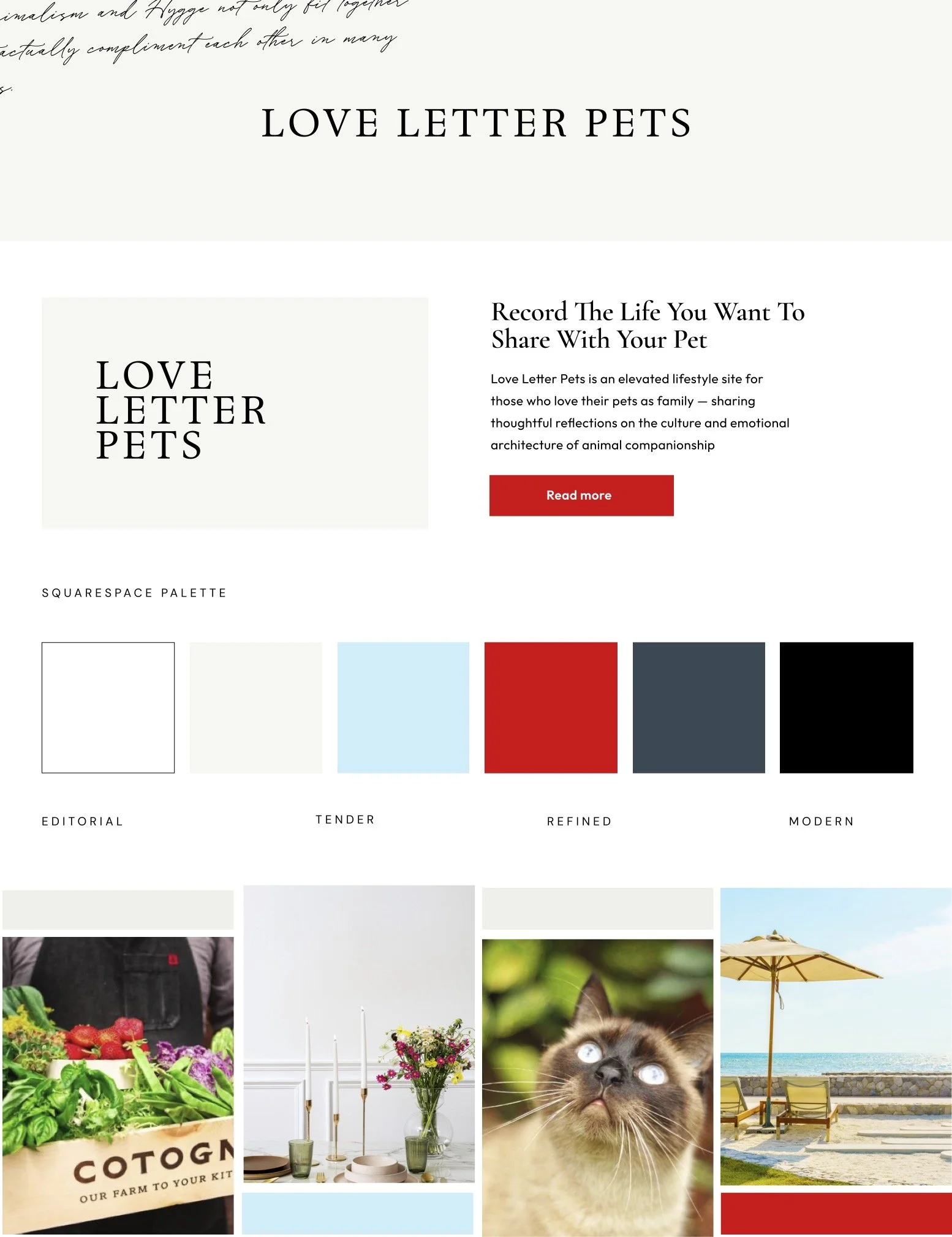 branding for blogger