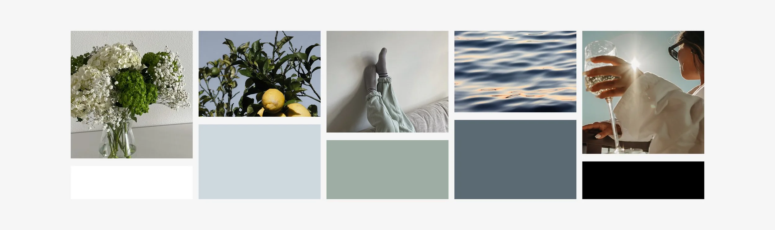 Color palette for Squarespace website
