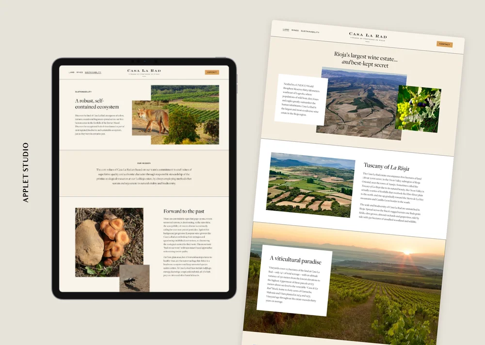 50 Creative Squarespace Websites for Your Inspiration — Applet Studio