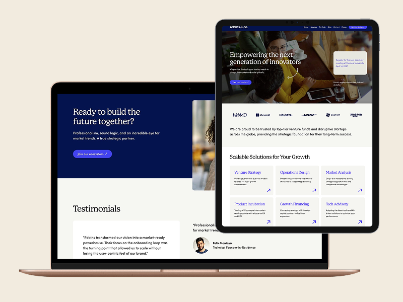 Robins squarespace template for startups