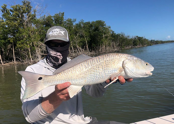 Red Drum Redfish Fishing Florida Keys