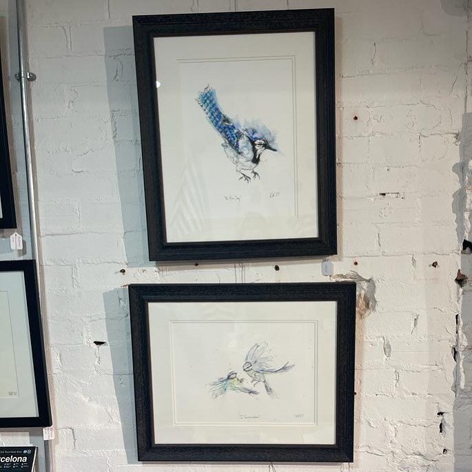 Beautiful Birdhouse Art blue birds in situ in @nucasastore where you can purchase a whole array of our art! Also available on our website and on Etsy (links in bio) #birdsofinstagram #birds #watercolour #print #art #birdart #britishbirds #birdwatchin