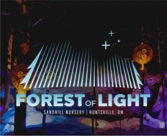 Social Event - Forest of Light