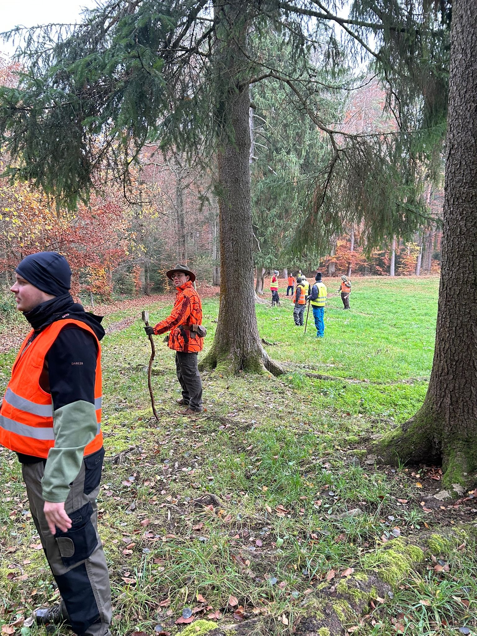 Treibjagd im Revier eines Bundesbruders