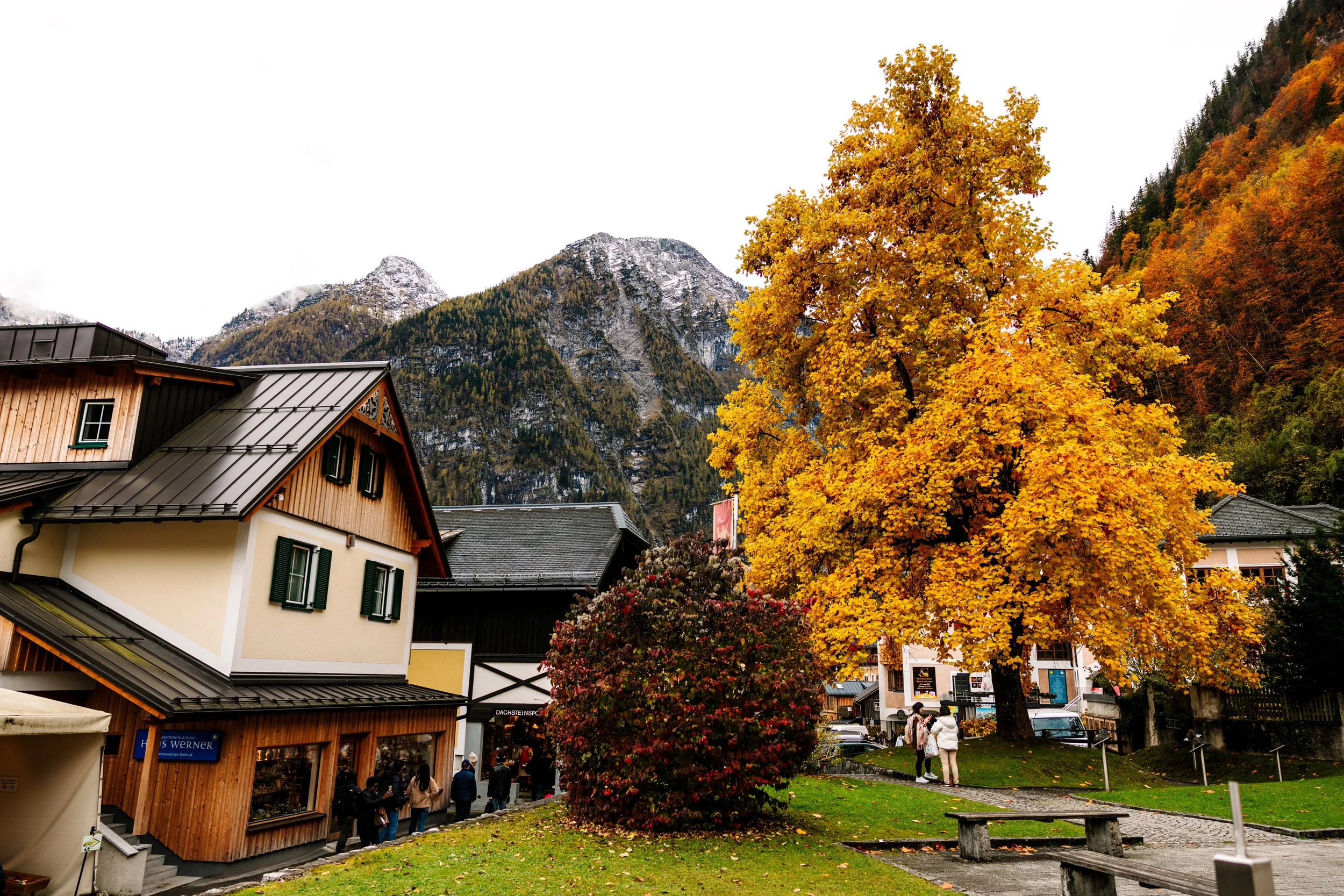 VBP_4536-Edit.jpg