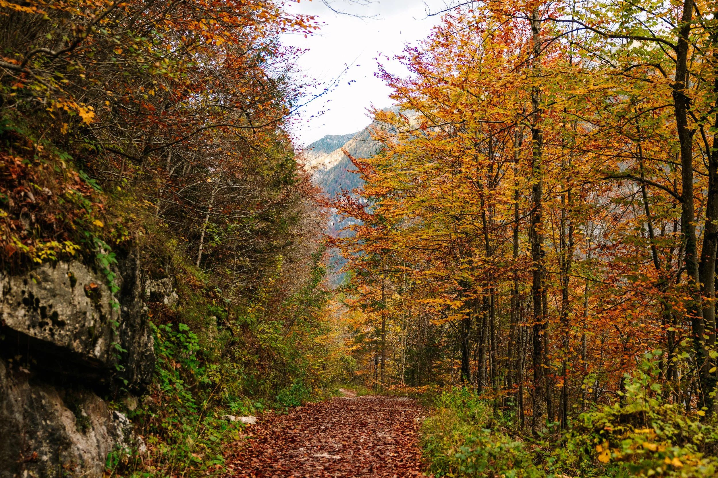 VBP_4717-Edit copy.jpg