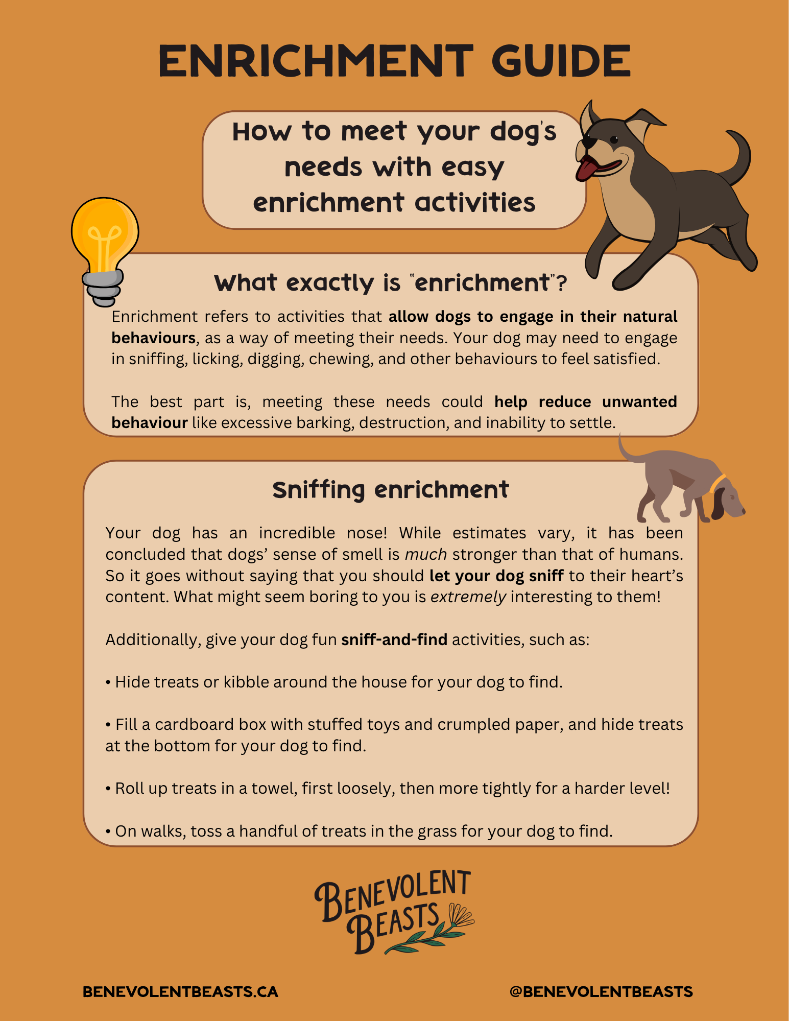 Enrichment guide for dogs