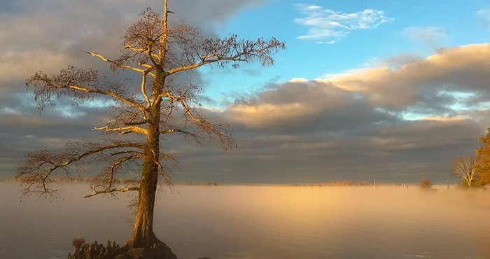 Getting to Know Goose Creek, Wonder Guides, Spring 2022