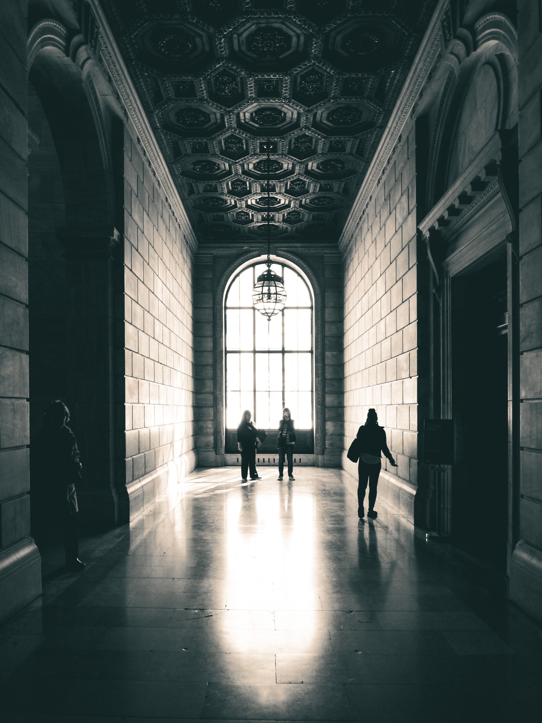 New York National Library Silhouettes.jpg