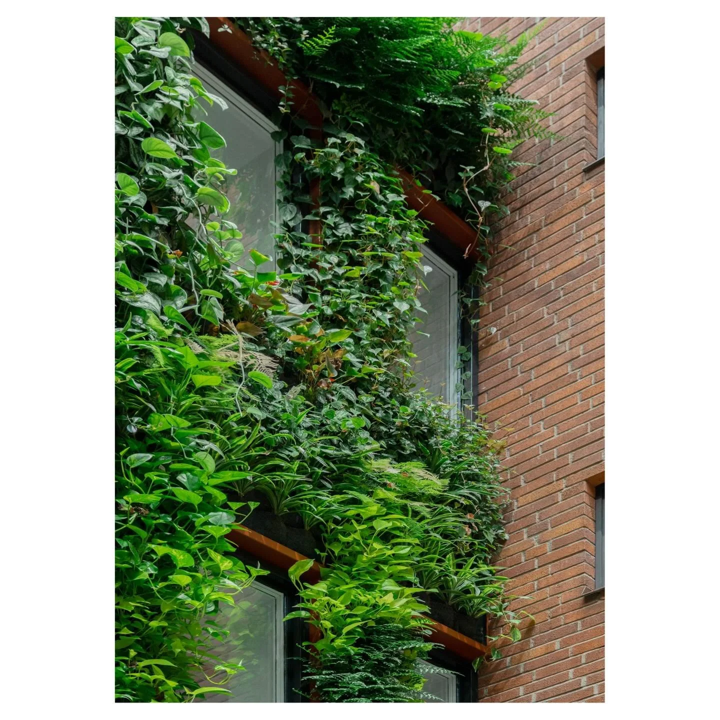 greenhouse solna strand, stokholm
greenworks sweden for humleg&aring;rden
shooting for @greenworks_sweden 
.
.
.
#stefanotacchinardi #photography #fotografia #canon #canonitalia #architecturephotography #architecture #architettura #archdaily #archilo