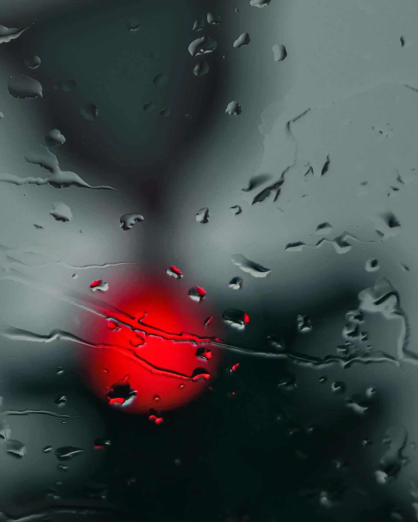 30 giorni x 30 foto x 1 sguardo
24/30 - luce artificiale
.
.
.
#stefanotacchinardi #photography #fotografia #photochallenge #30dayschallenge