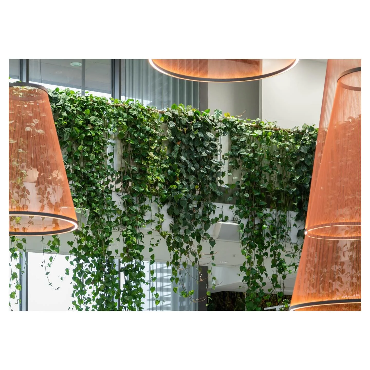 kista volvo cars showroom, stockholm
for @hasselbyblommor 
.
.
.
@volvocarse @wingardhs_ #stefanotacchinardi #photography #fotografia #architecture #architettura