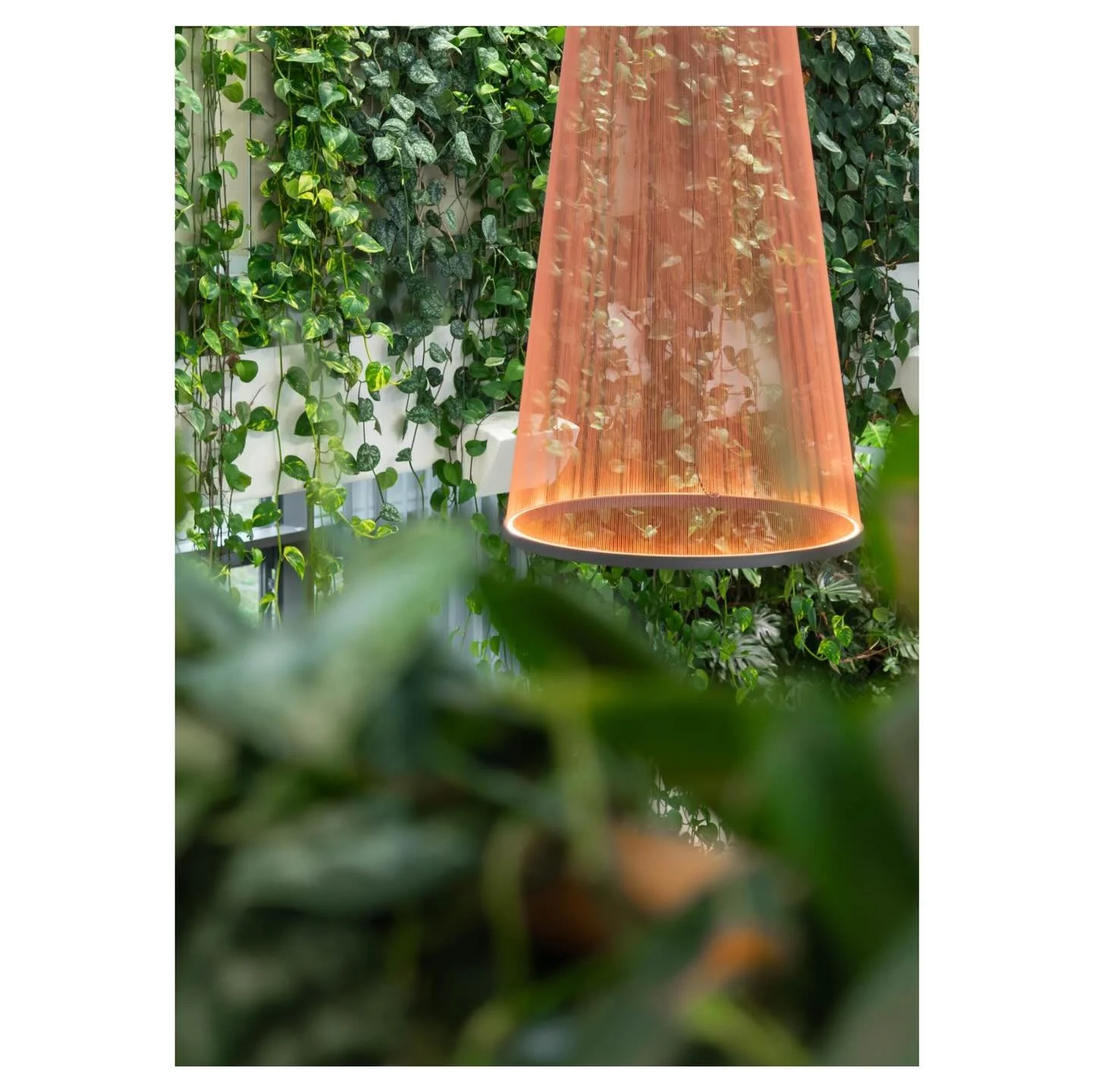 kista volvo cars showroom, stockholm
for @hasselbyblommor 
.
.
.
@volvocarse @wingardhs_ #stefanotacchinardi #photography #fotografia #architecture #architettura