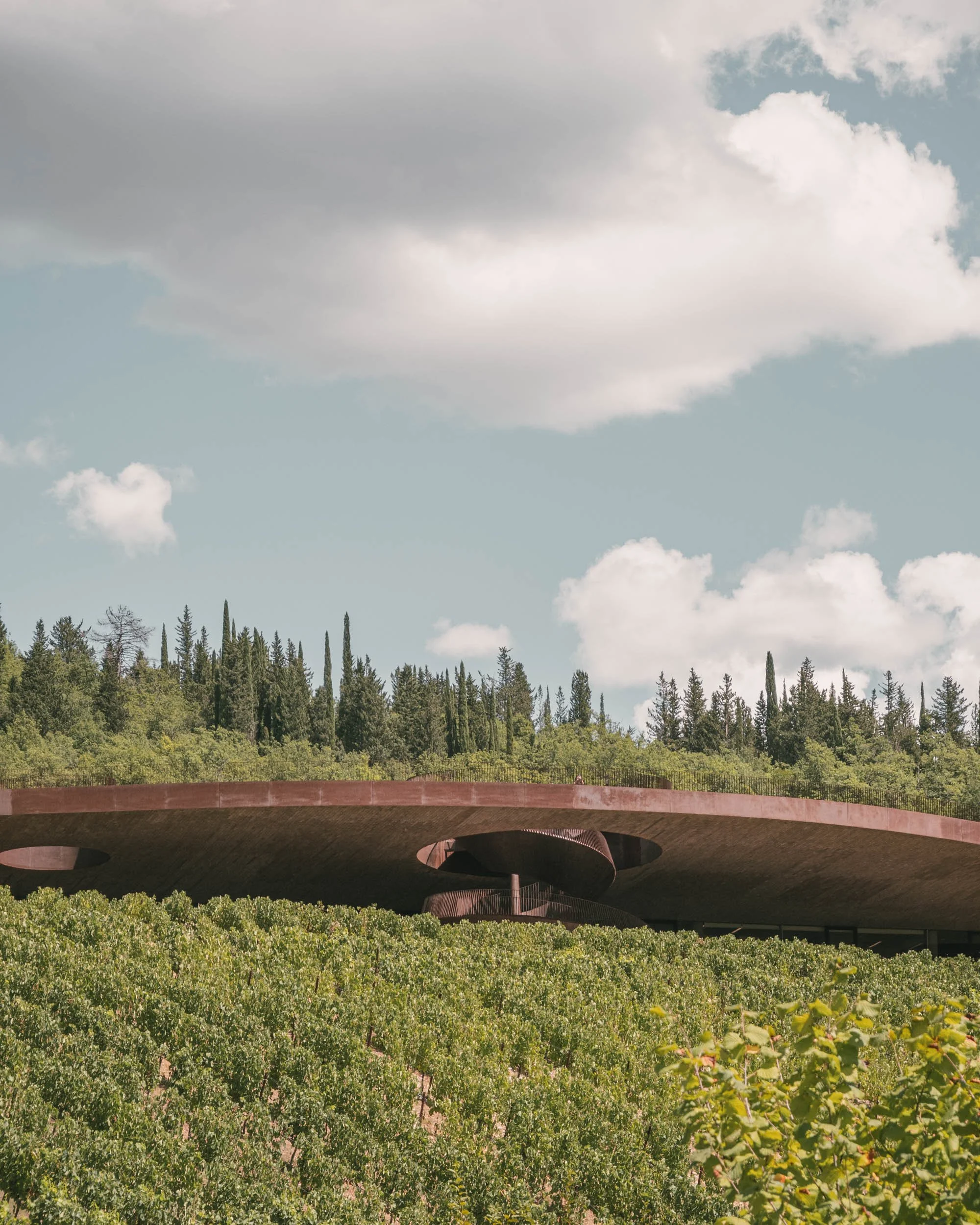 01 Archea Antinori ph_ST.jpg
