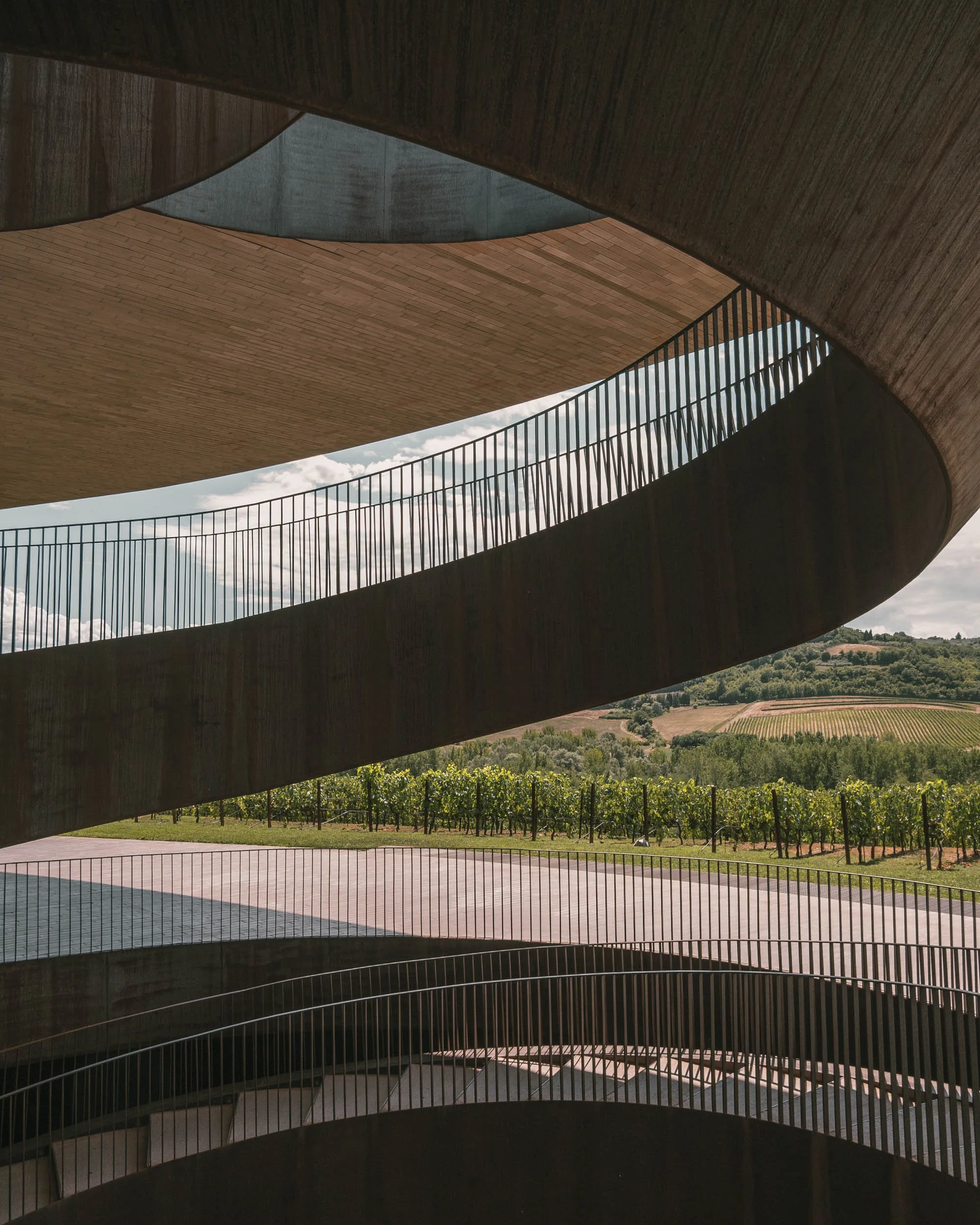 23 Archea Antinori ph_ST.jpg