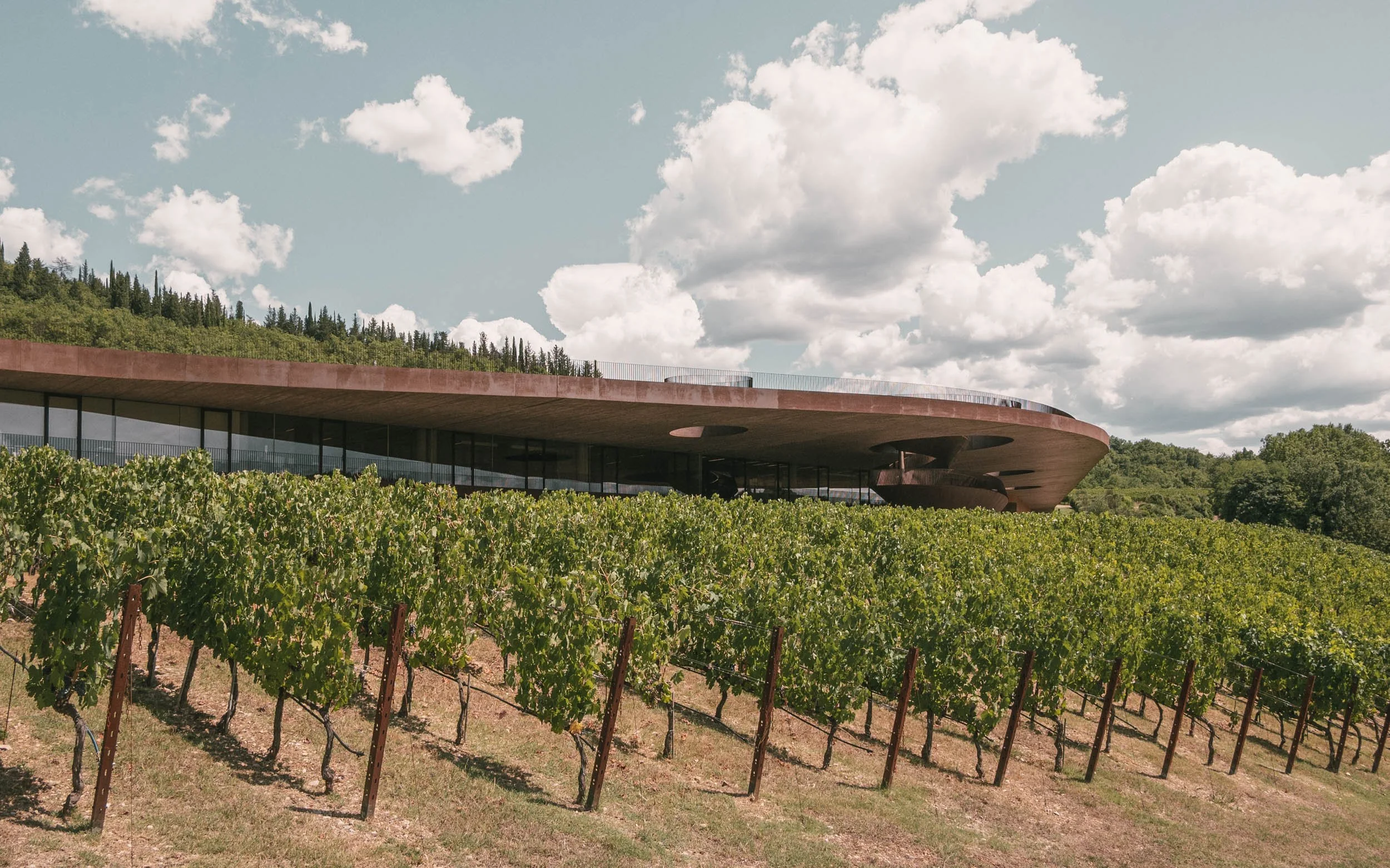 11 Archea Antinori ph_ST.jpg