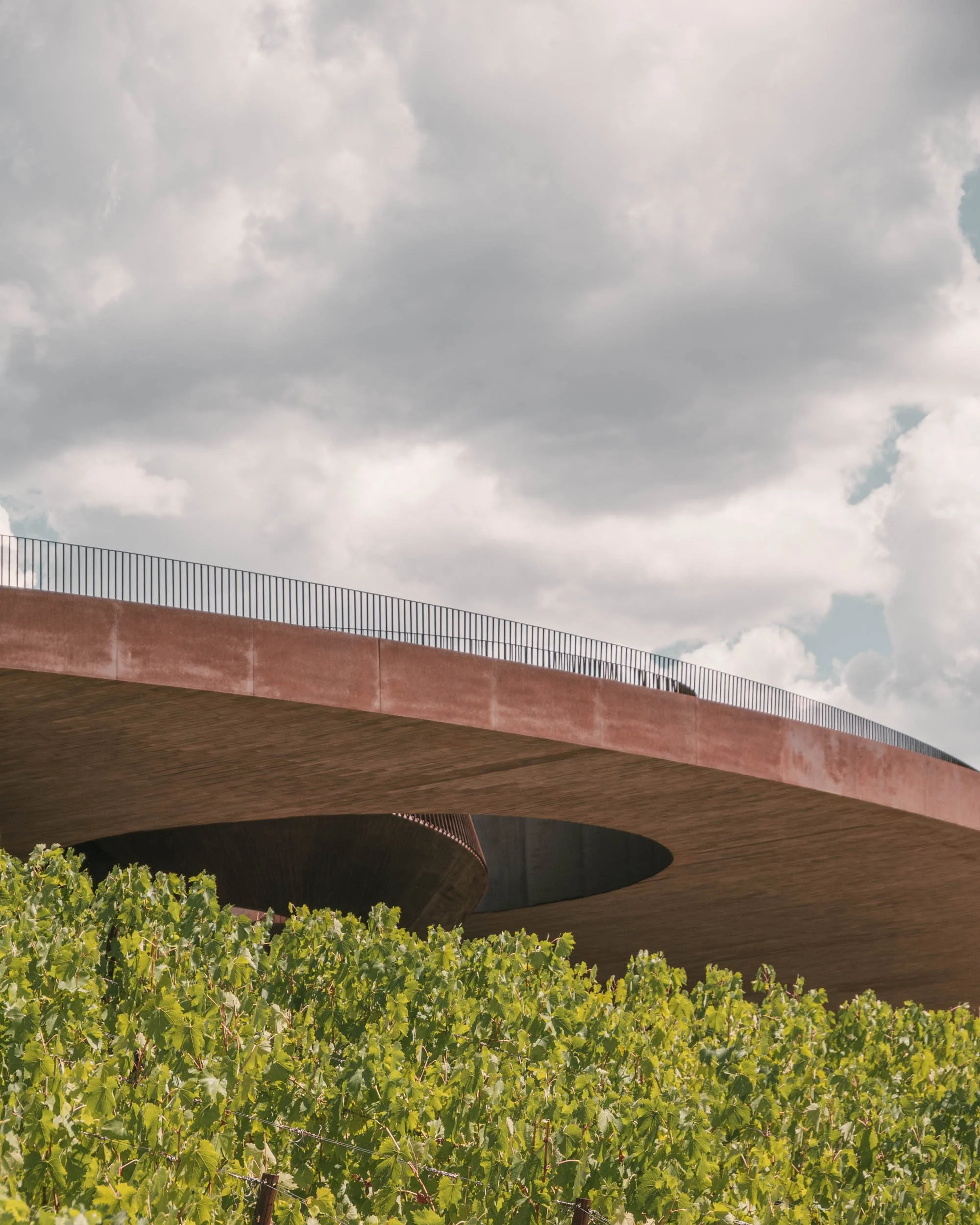 10 Archea Antinori ph_ST.jpg