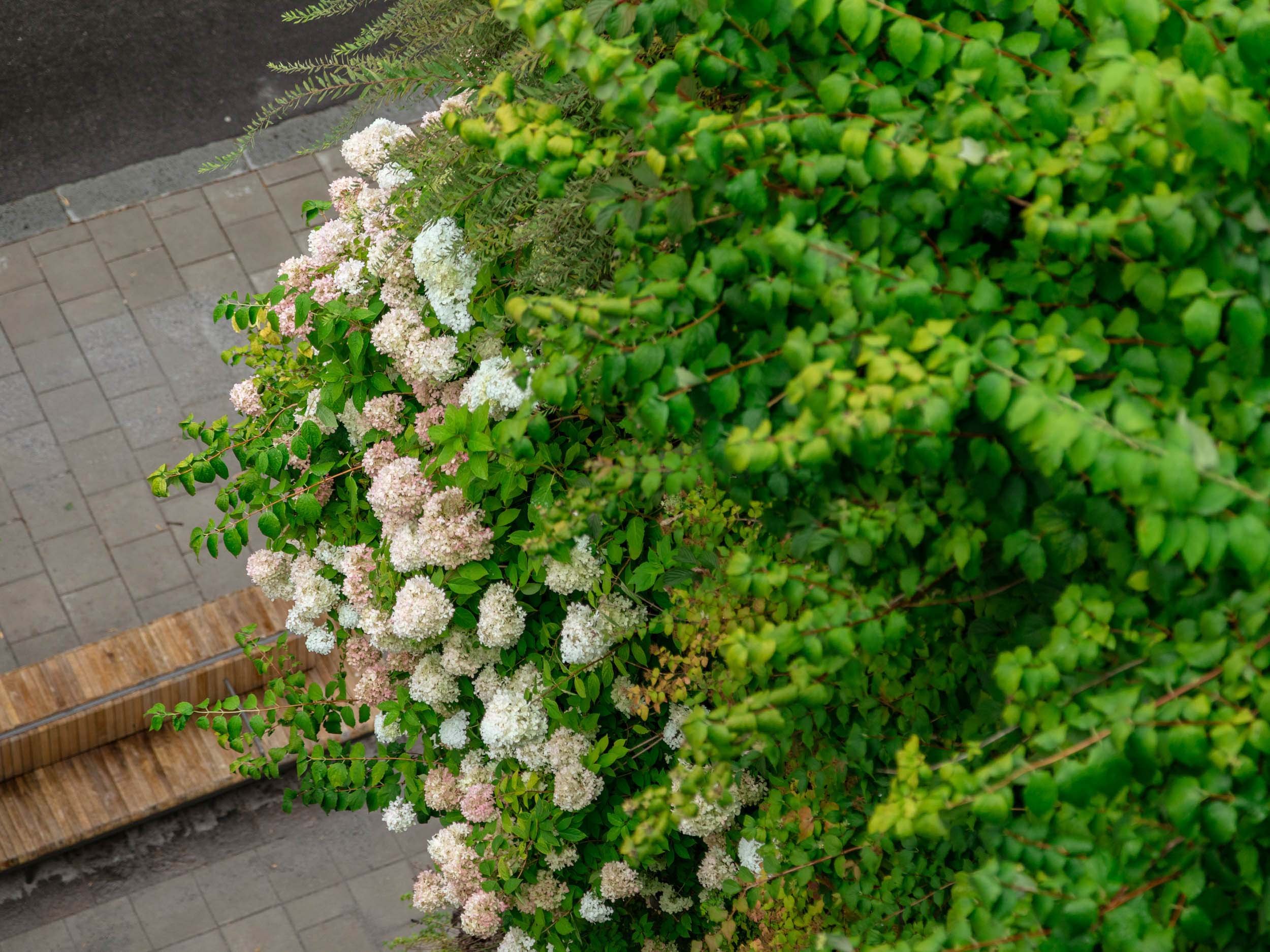19 GW Storgatan 1 ph_ST.jpg
