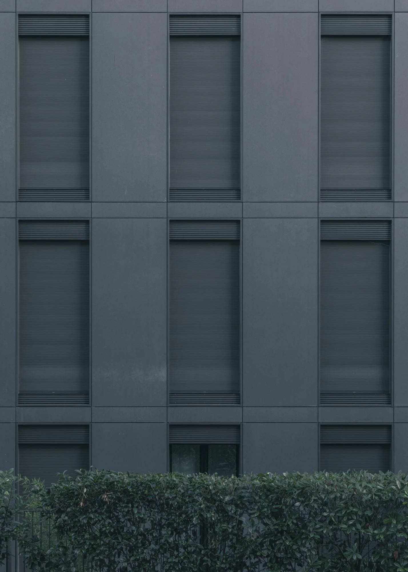 G1.jpg
